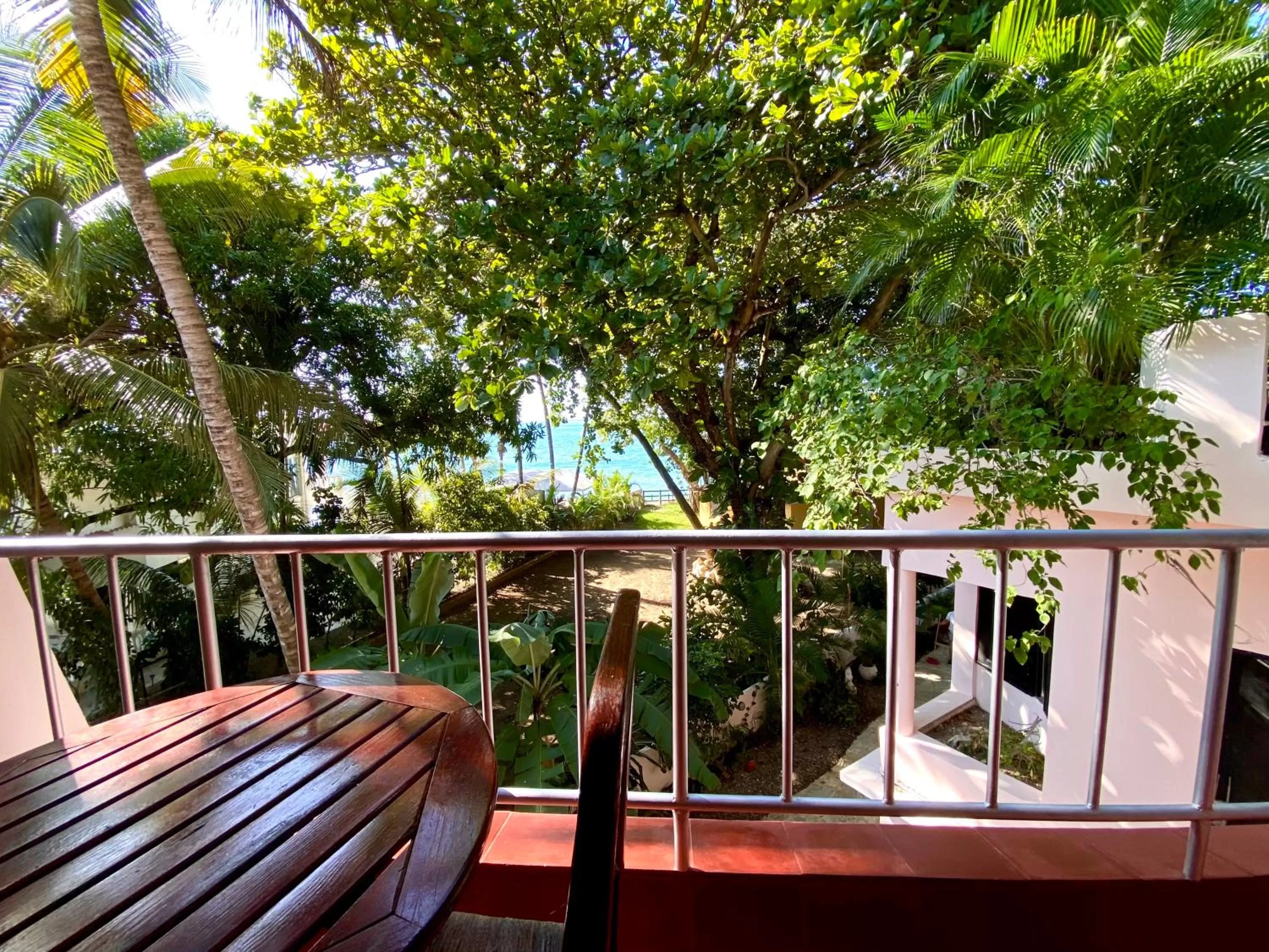 Patio in Hotel Alegria