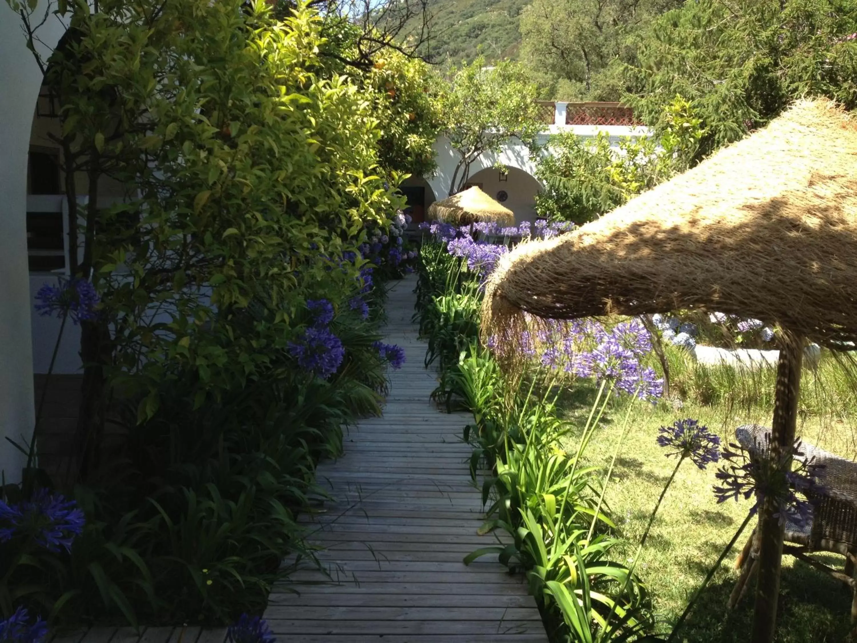 Garden in Mesón de Sancho