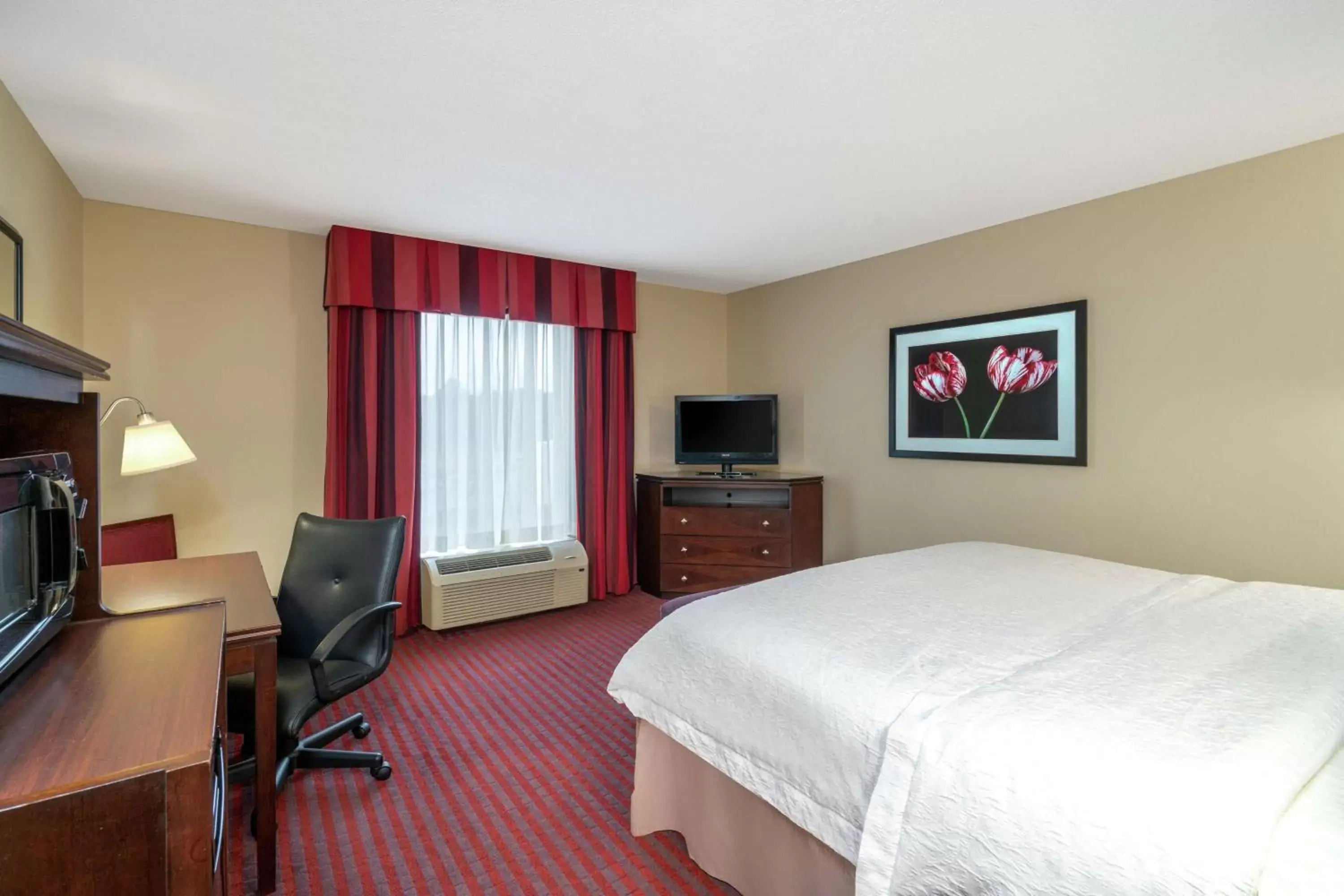 Bed, TV/Entertainment Center in Hampton Inn Richmond - Airport