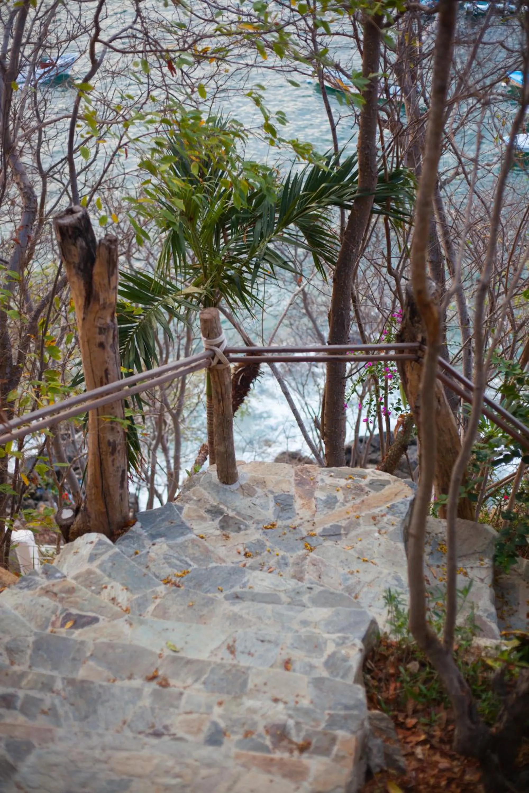 Sea view, Other Animals in Hotel Casa Justina