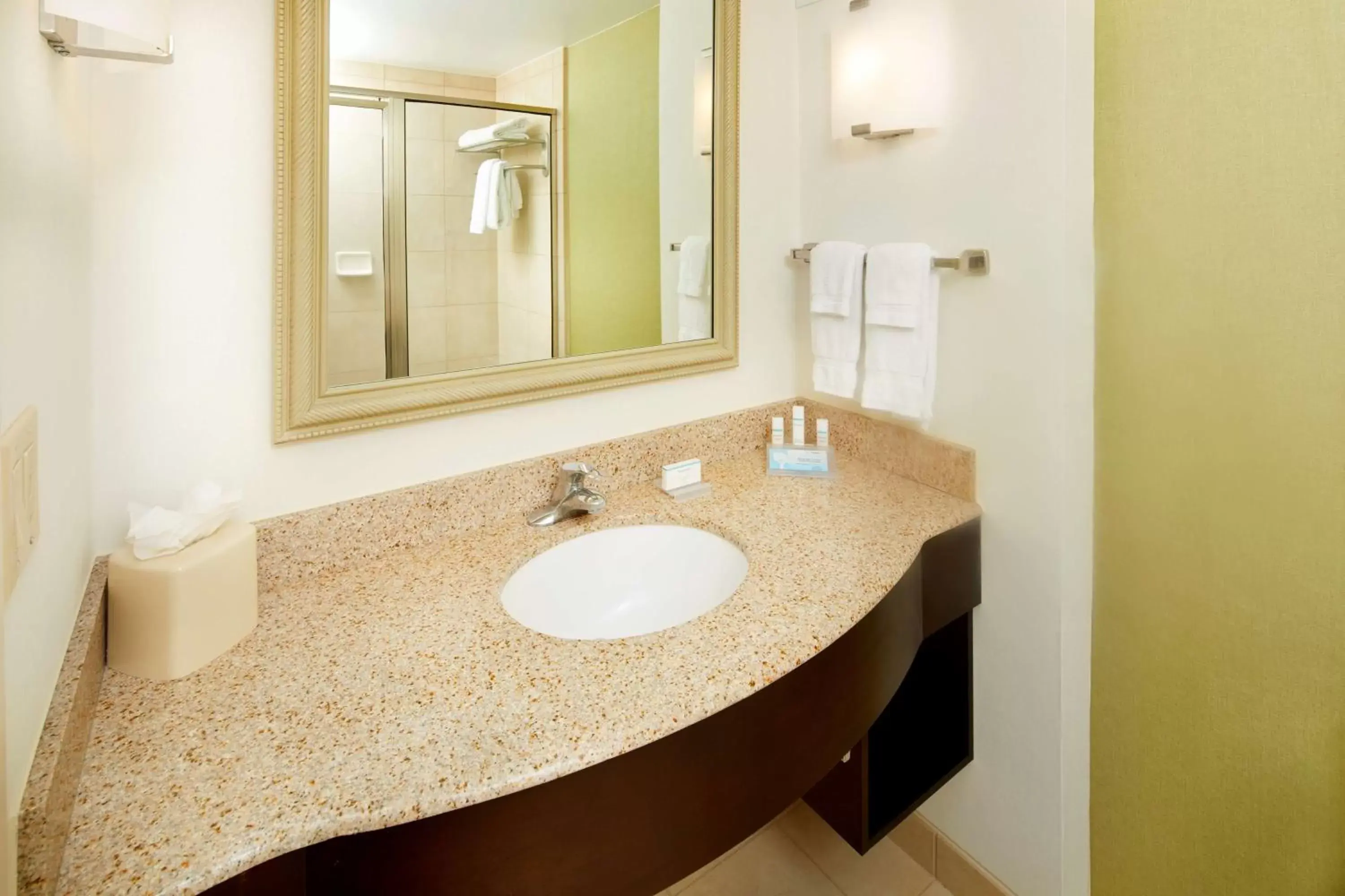 Bathroom in Hilton Garden Inn Savannah Midtown