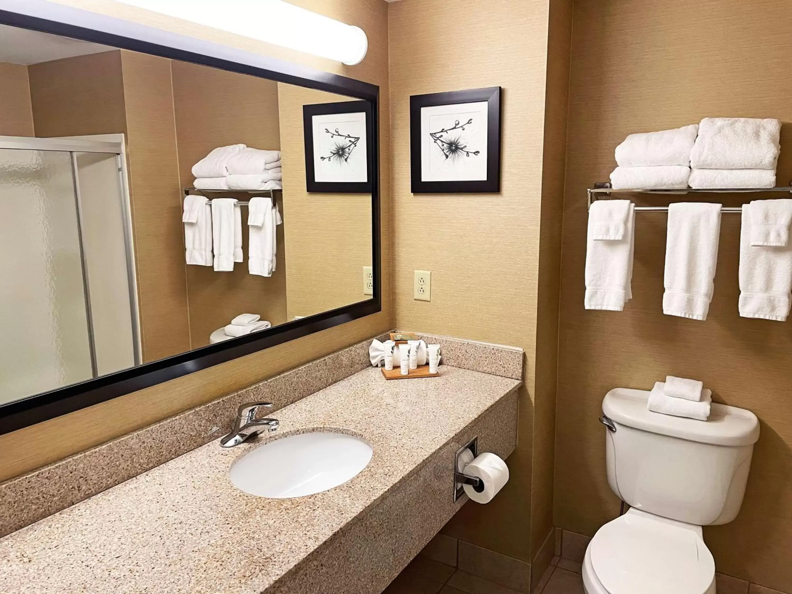 Bathroom in Country Inn & Suites by Radisson, Findlay, OH