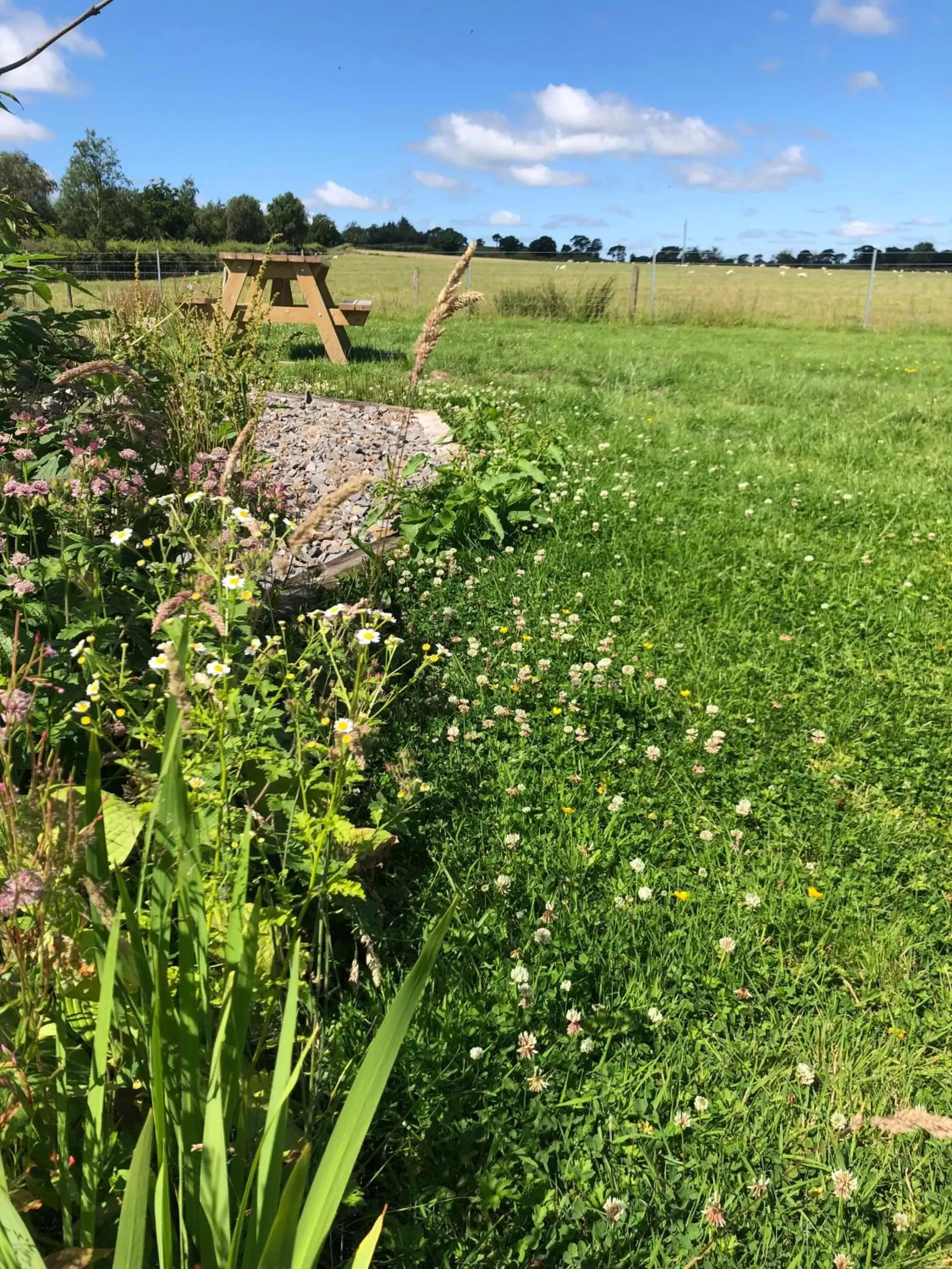 Garden in The Crossings