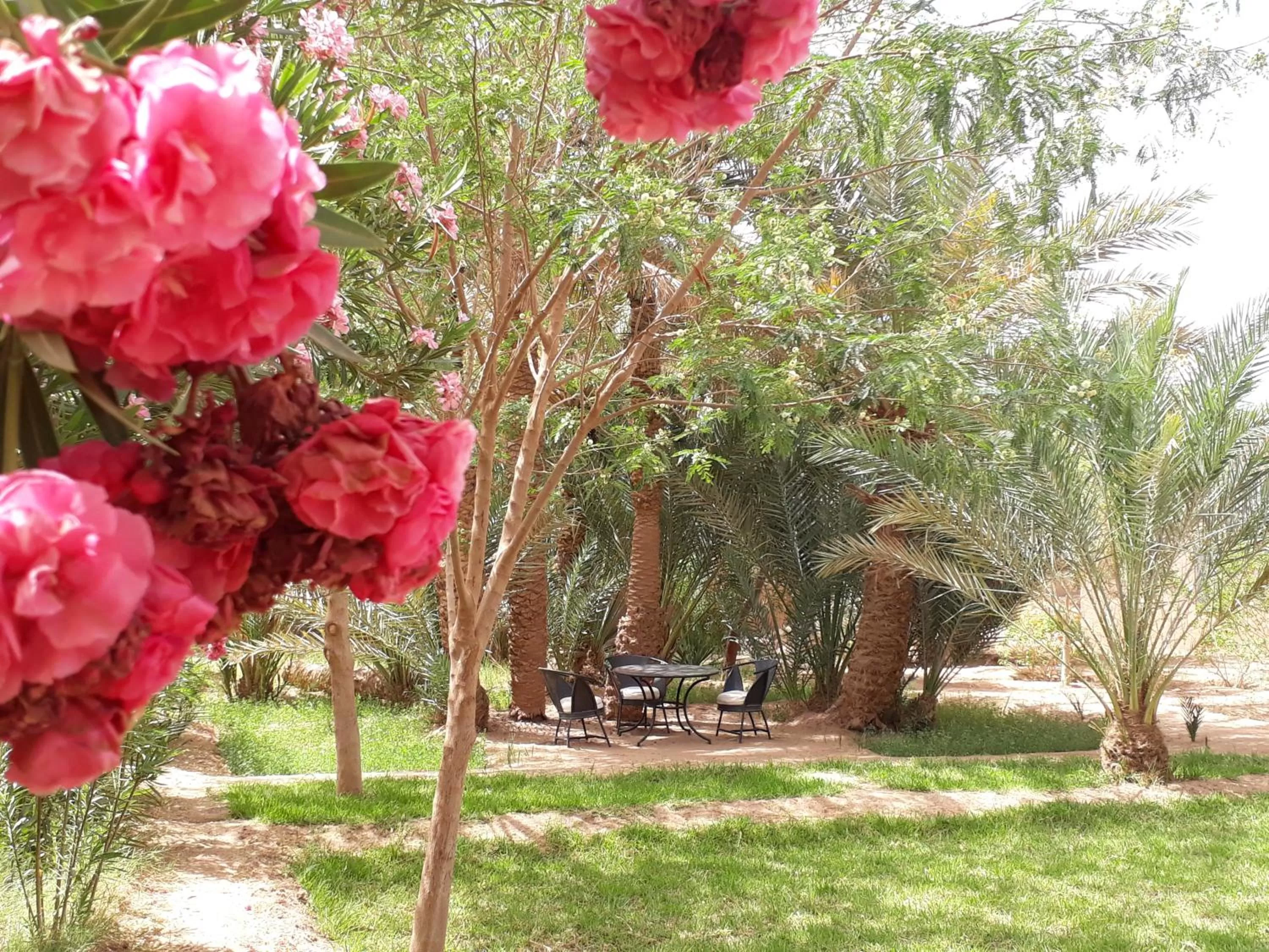 Garden in Dar Paru
