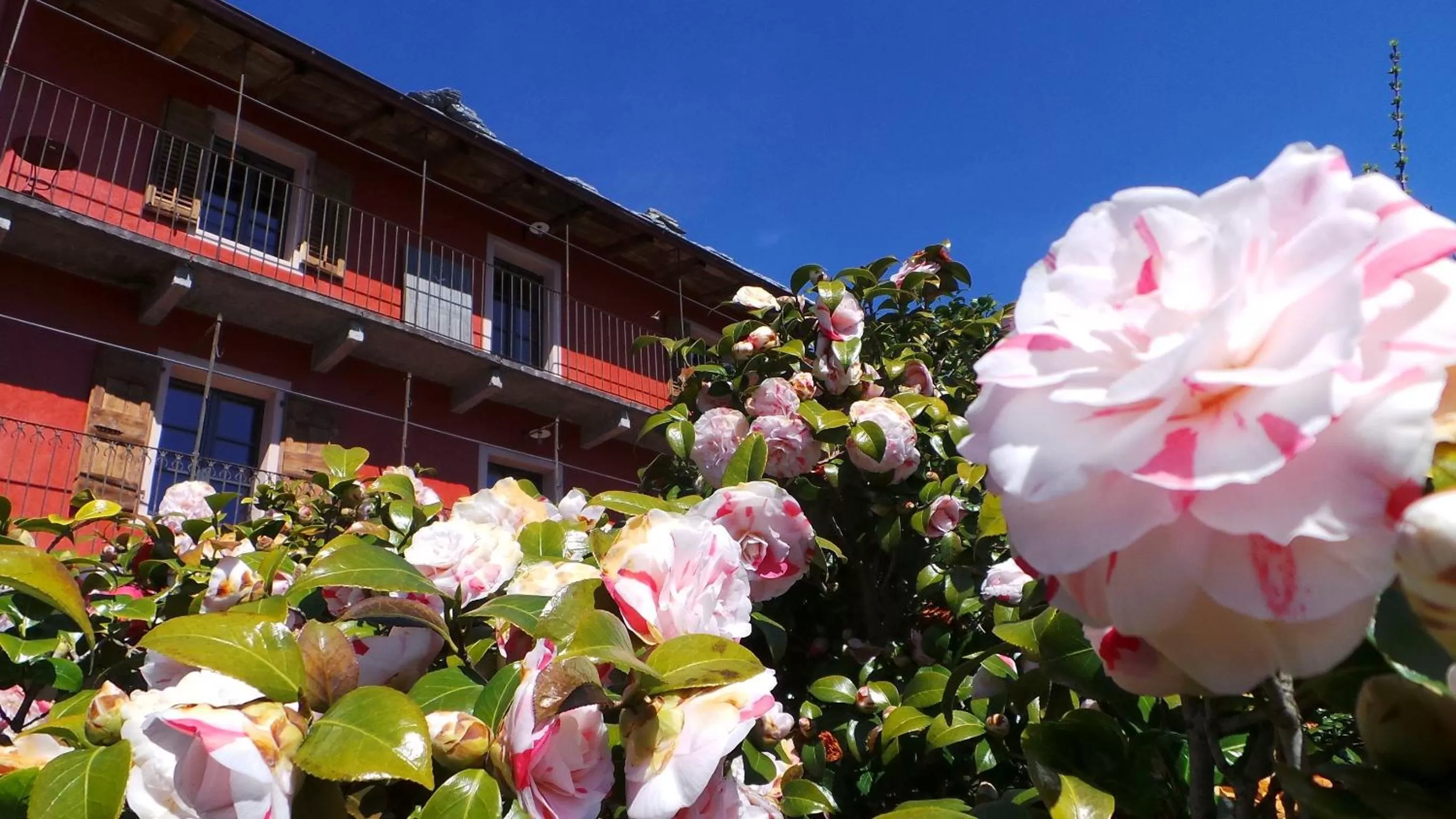 Spring in Case di Sotto, House & Breakfast