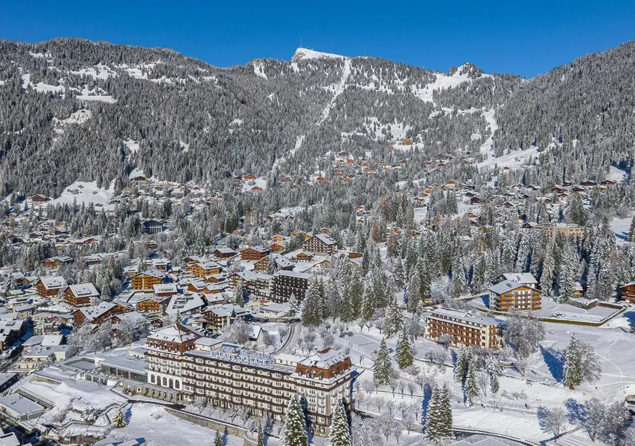 Property building, Winter in Villars Palace