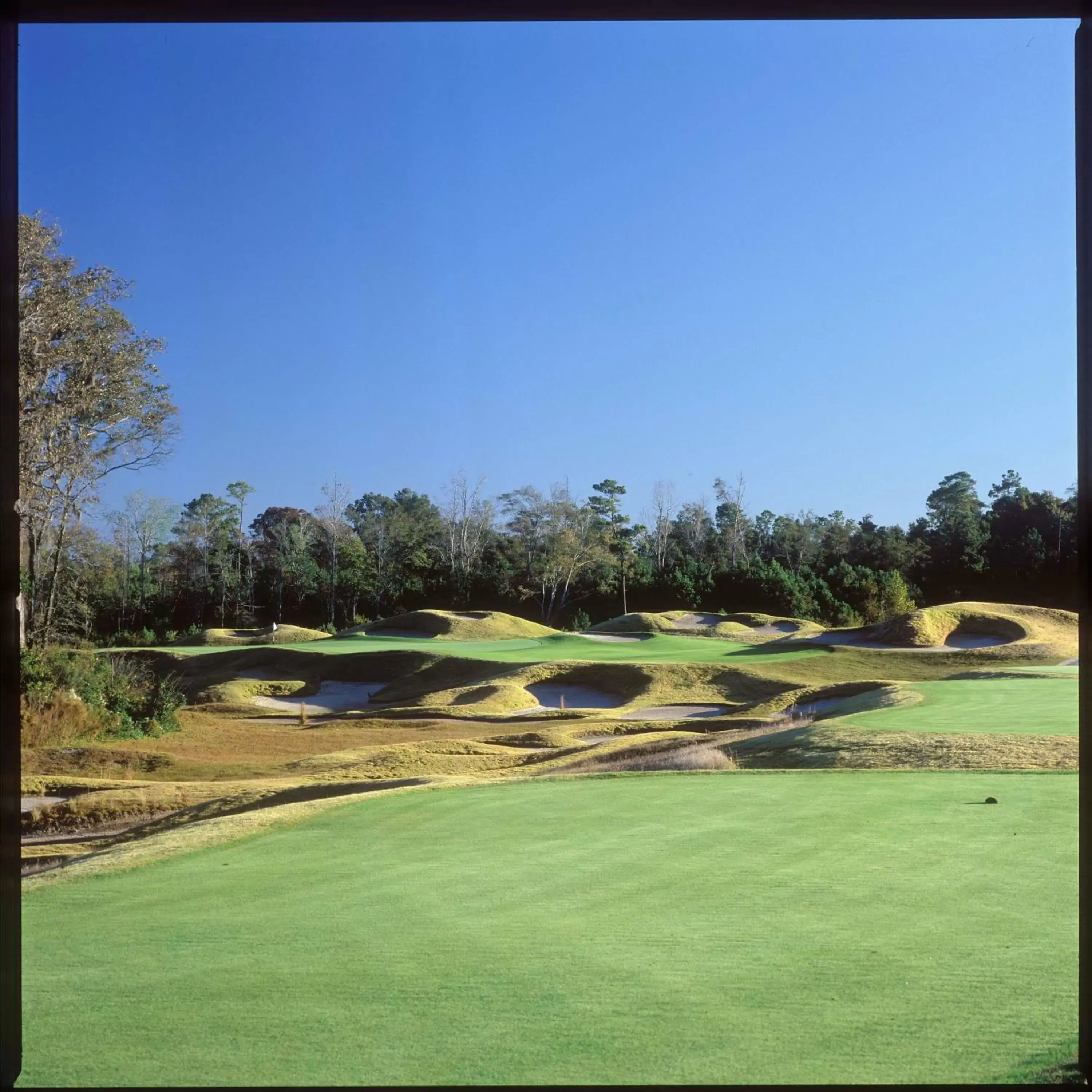 Golfcourse, Golf in Barefoot Resort Golf & Yacht Club Villas