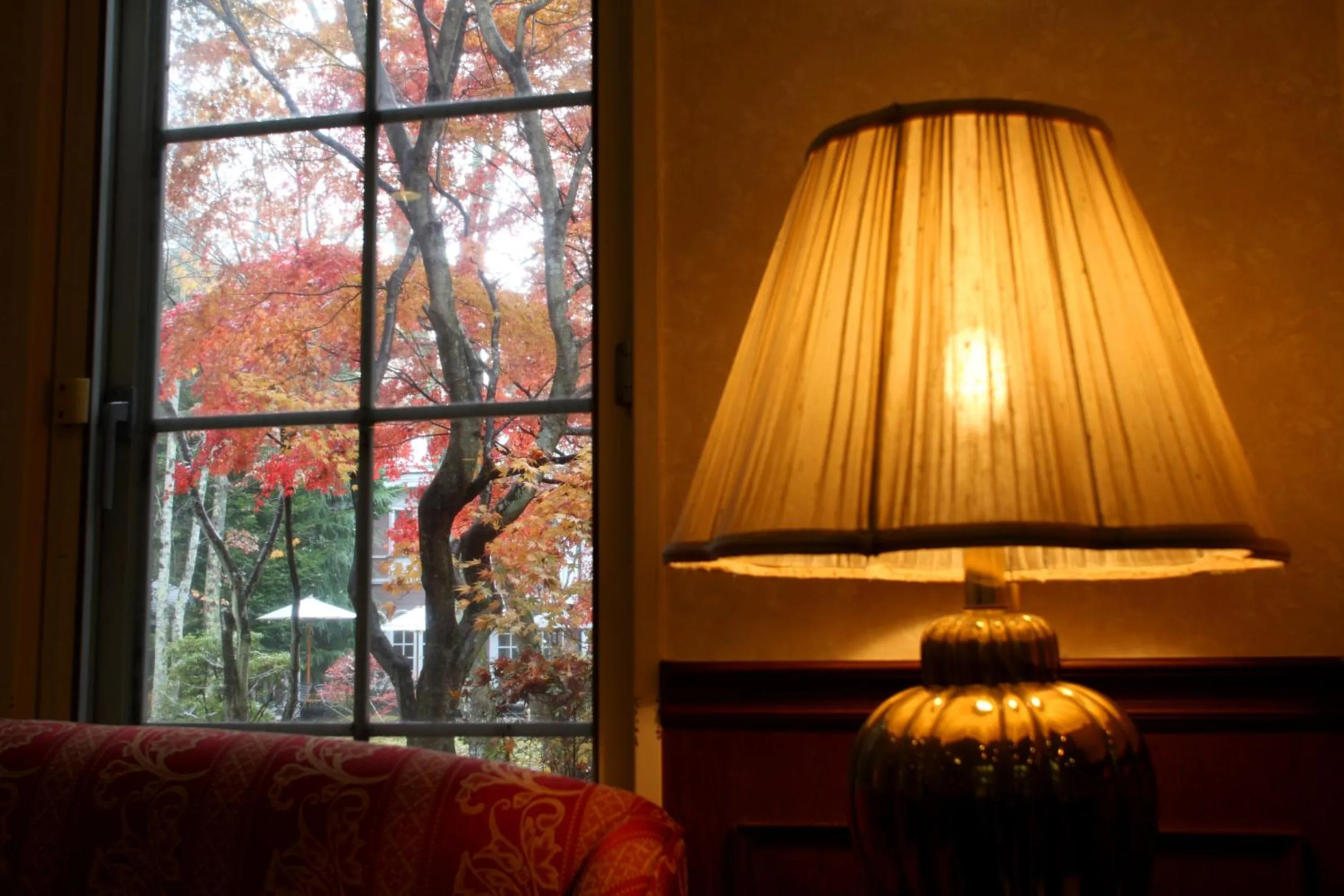 View (from property/room) in Kyu Karuizawa Hotel Otowa No Mori