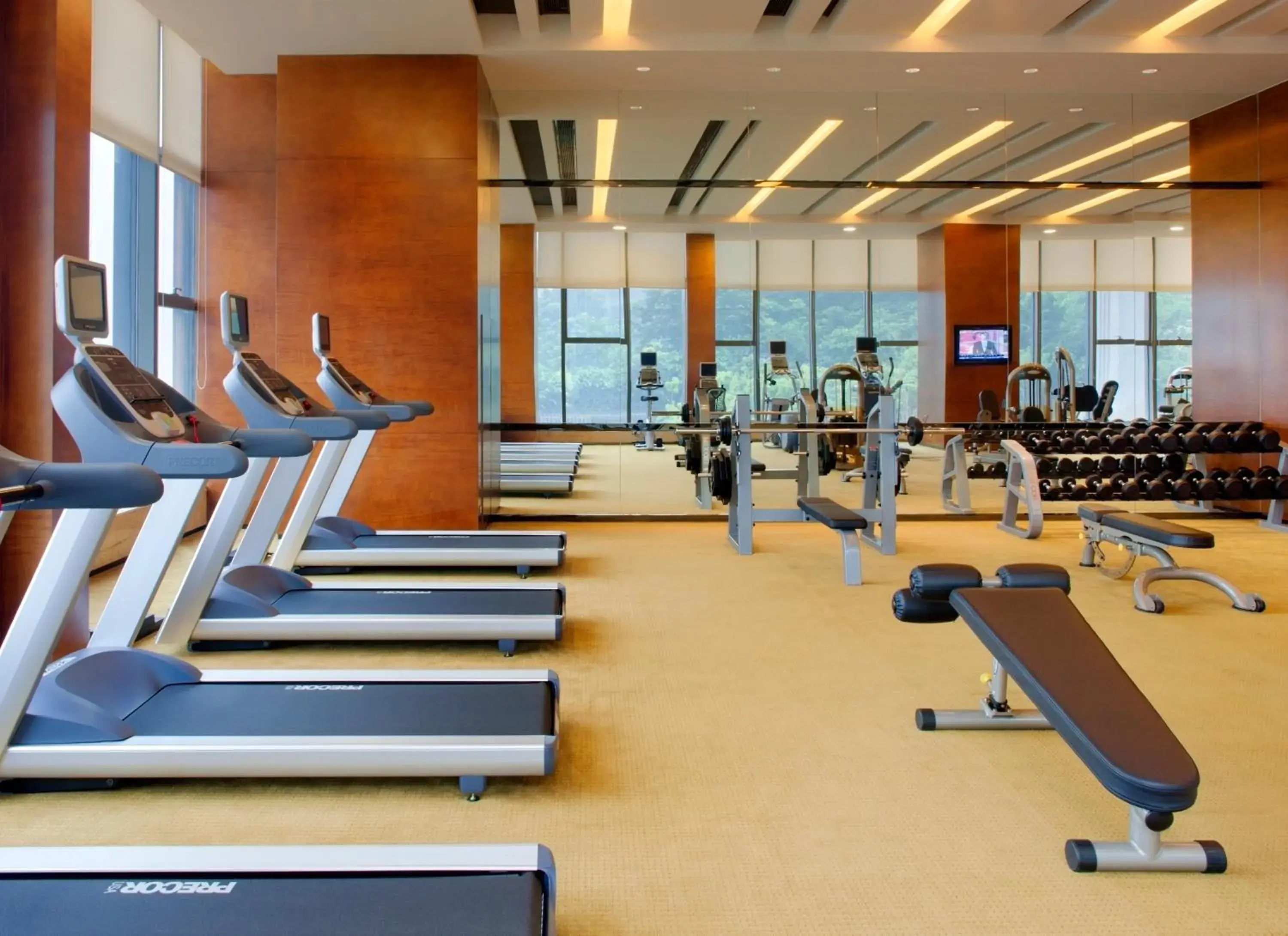 Fitness centre/facilities, Fitness Center/Facilities in Radisson Blu Plaza Chongqing