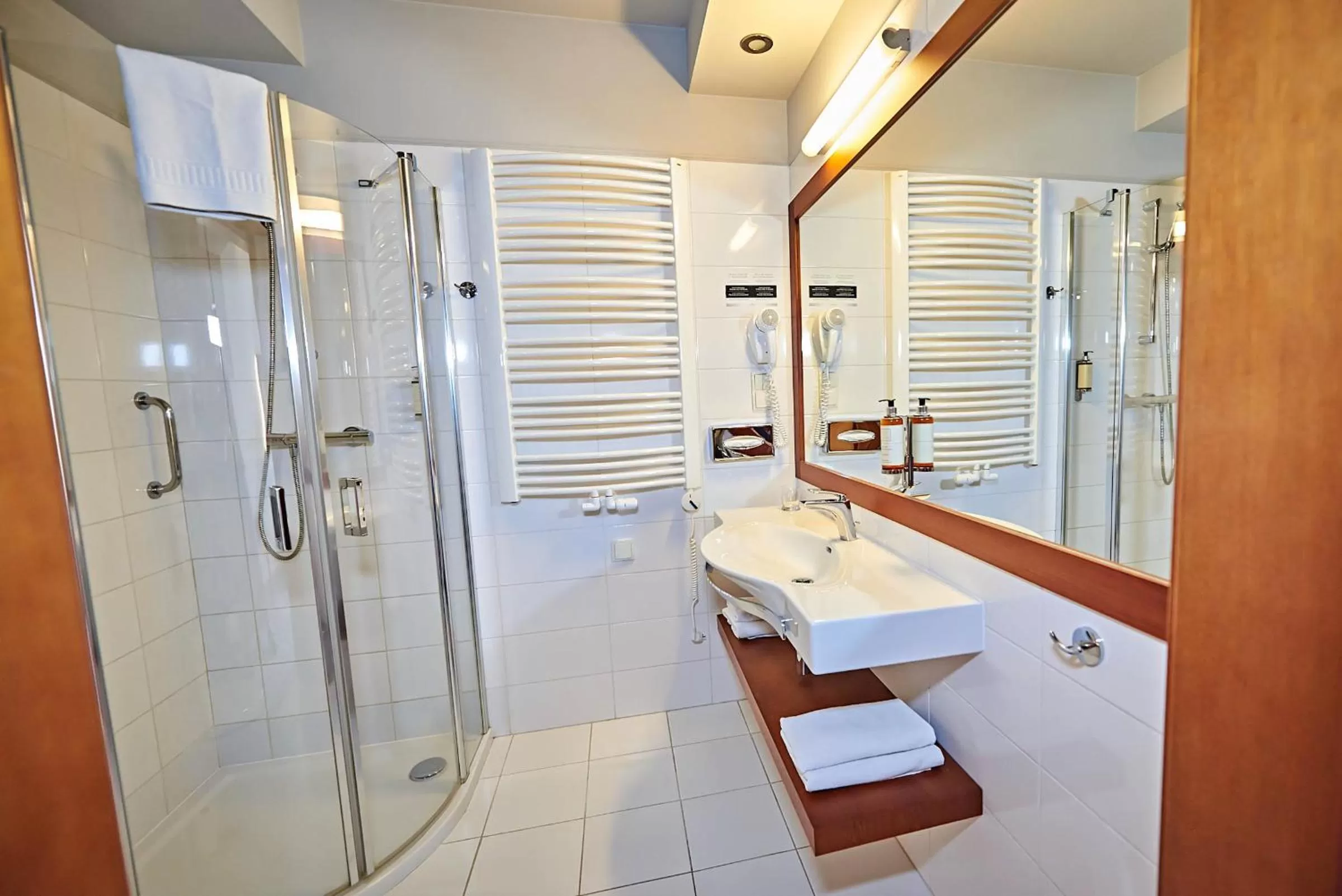 Shower in Hotel Wieniawski