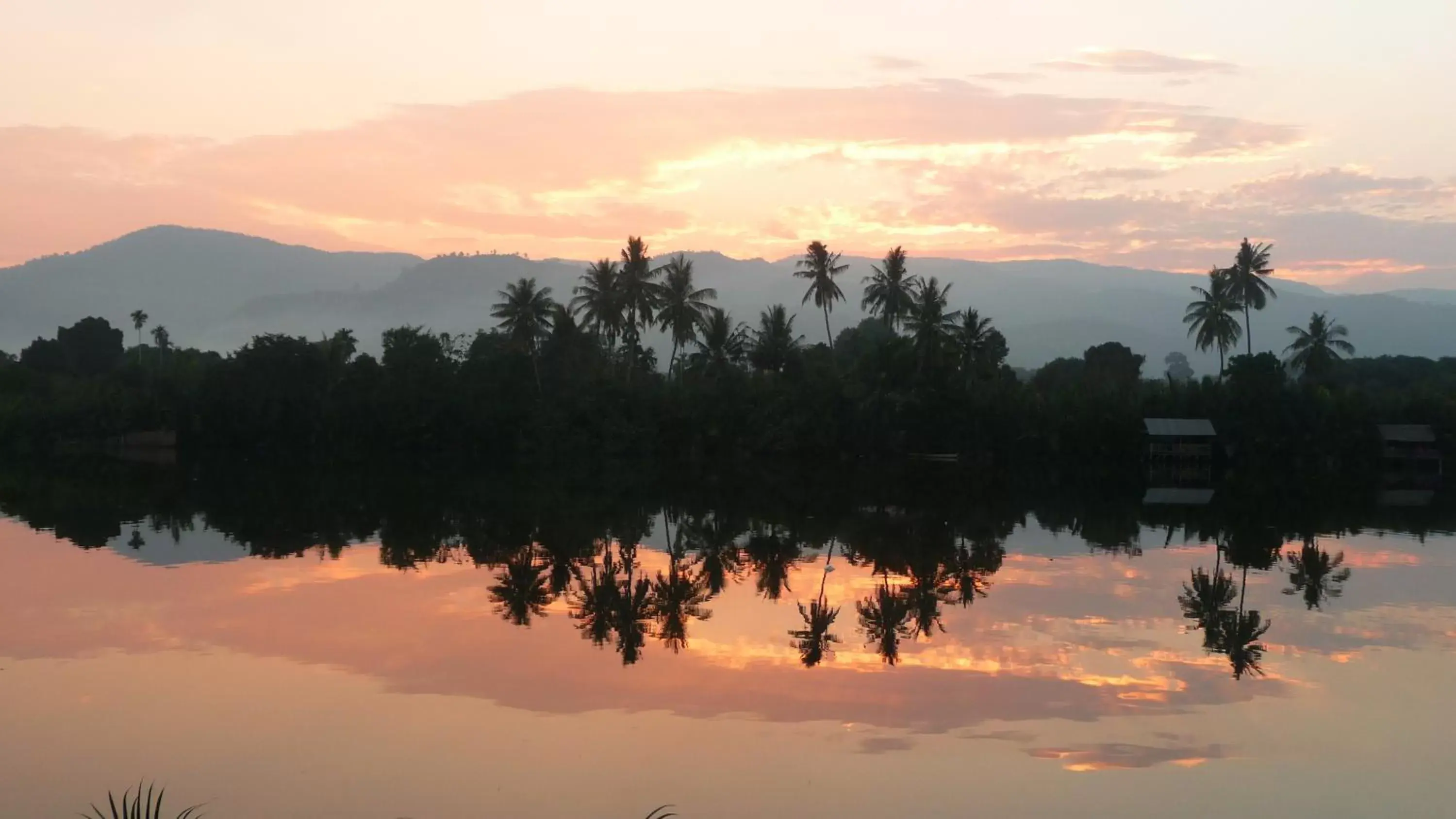 River view in Green Mango Bungalows River view in Green Mango Bungalows