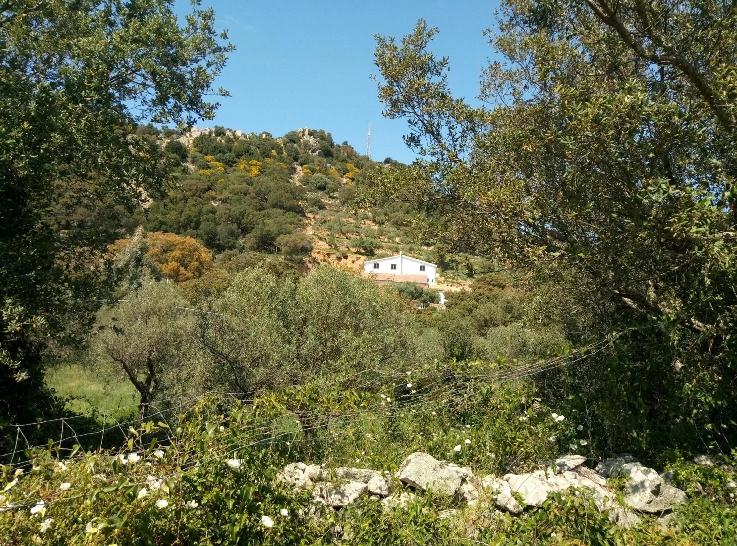 View (from property/room) in Il Nuraghe