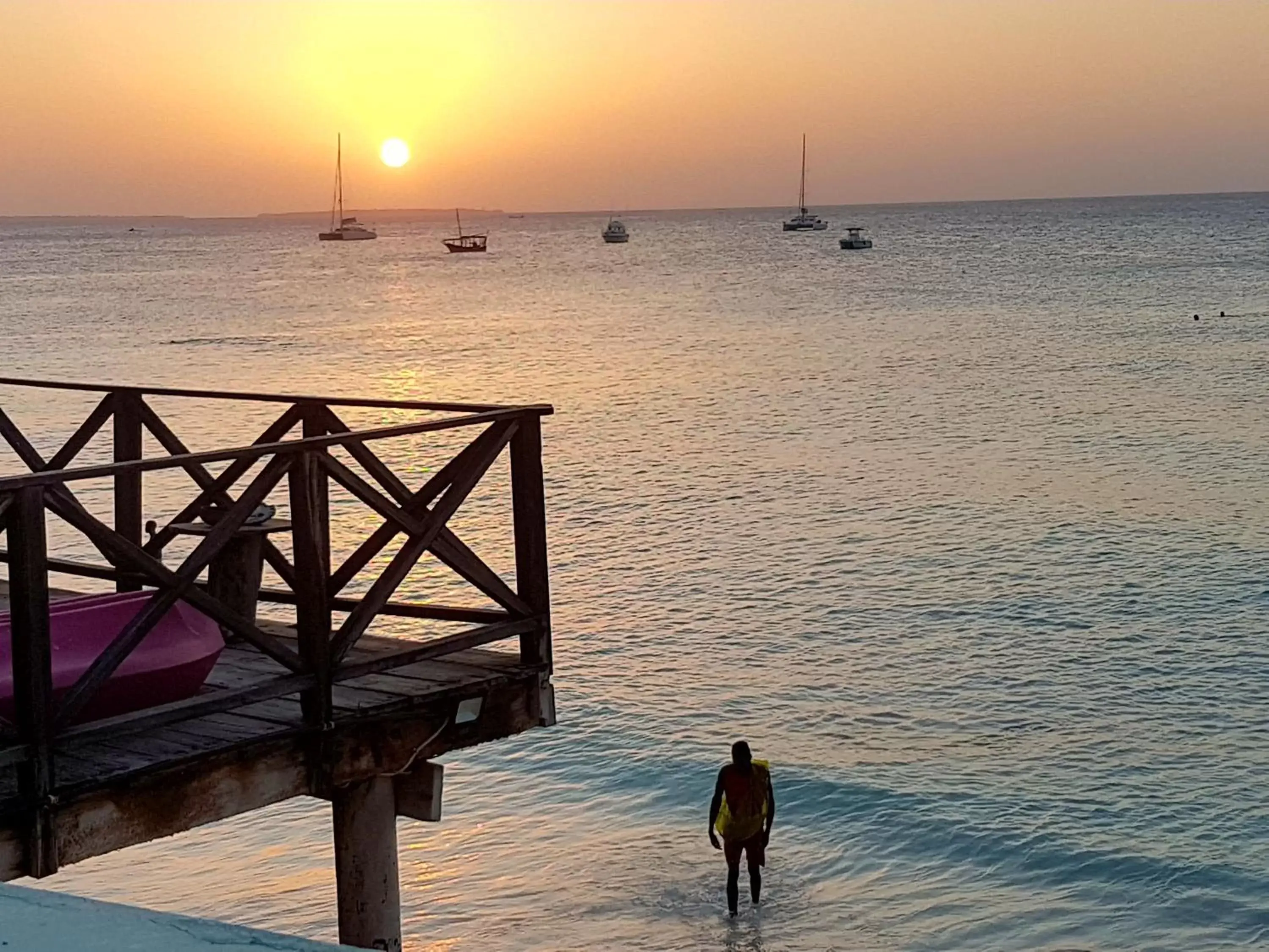 Natural landscape, Beach in Zenobia Beach Resort