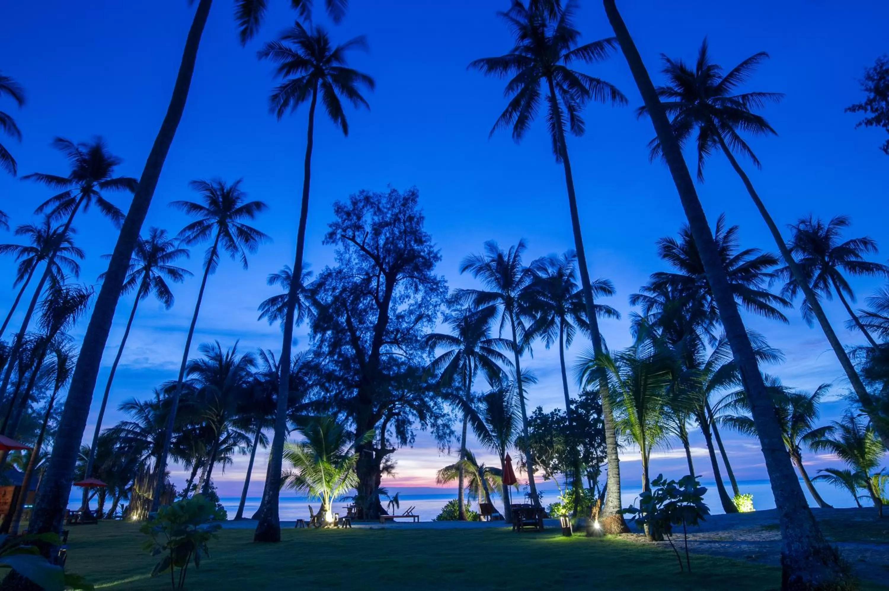 View (from property/room) in Medee Resort