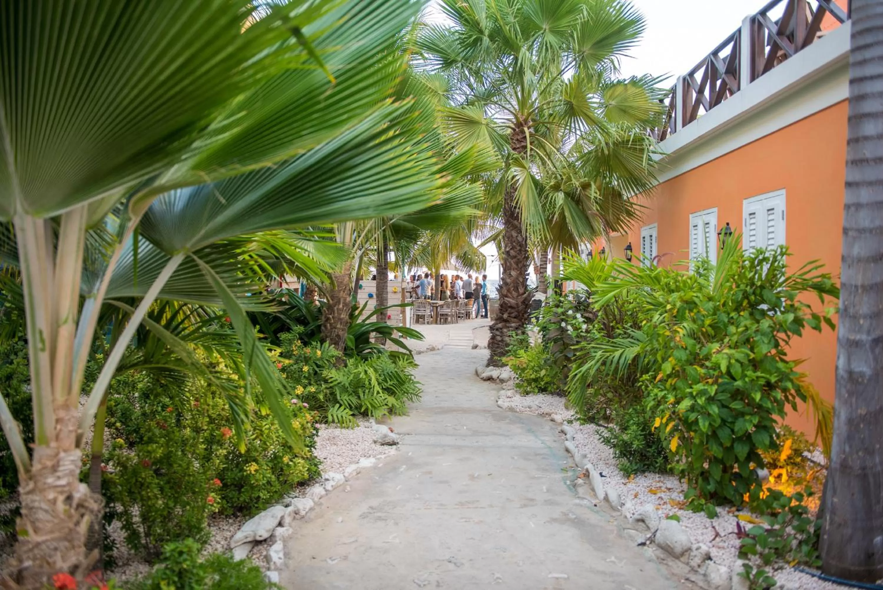 Garden in Scuba Lodge & Suites