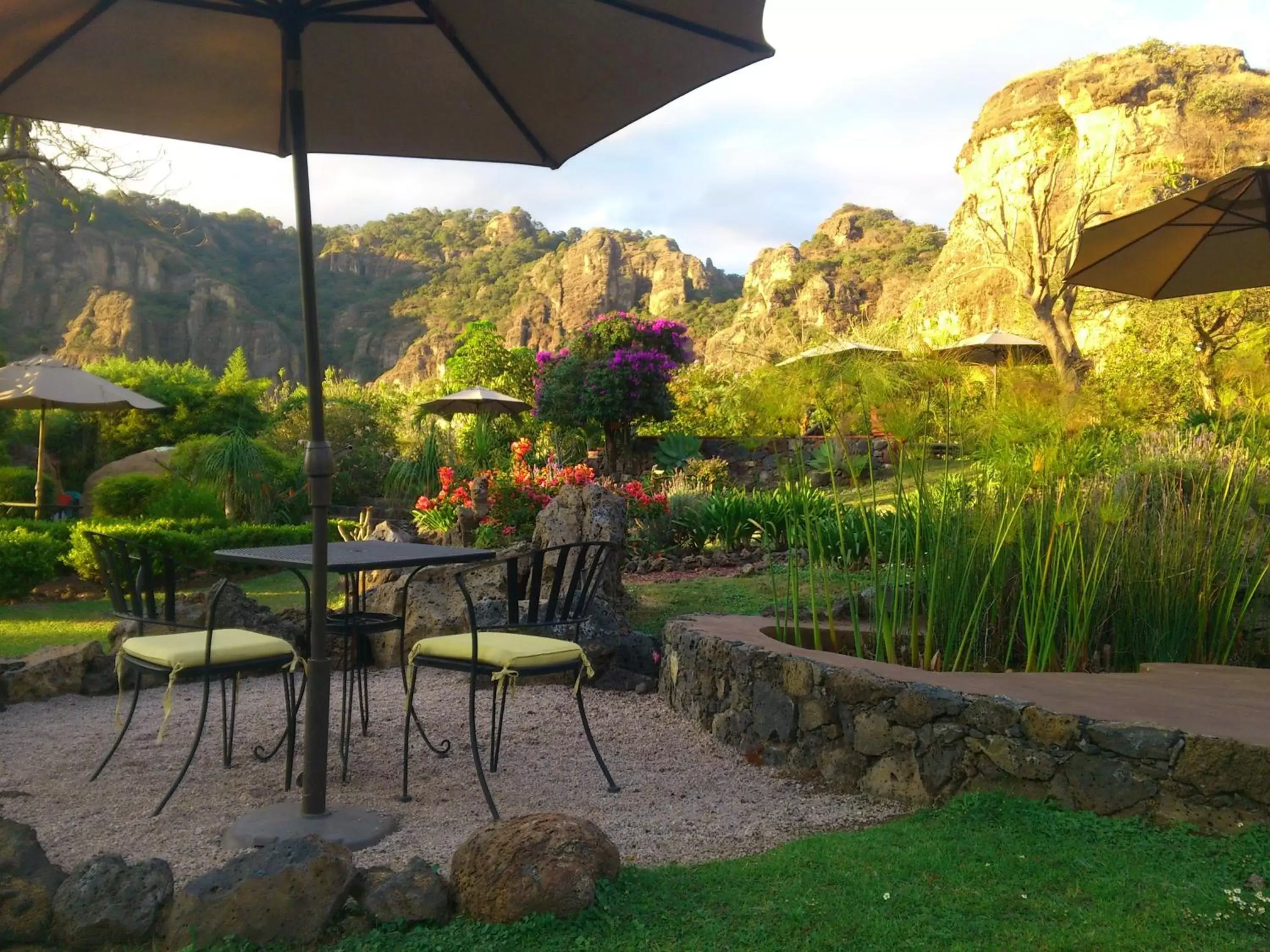 Garden view in Hotel Valle Místico