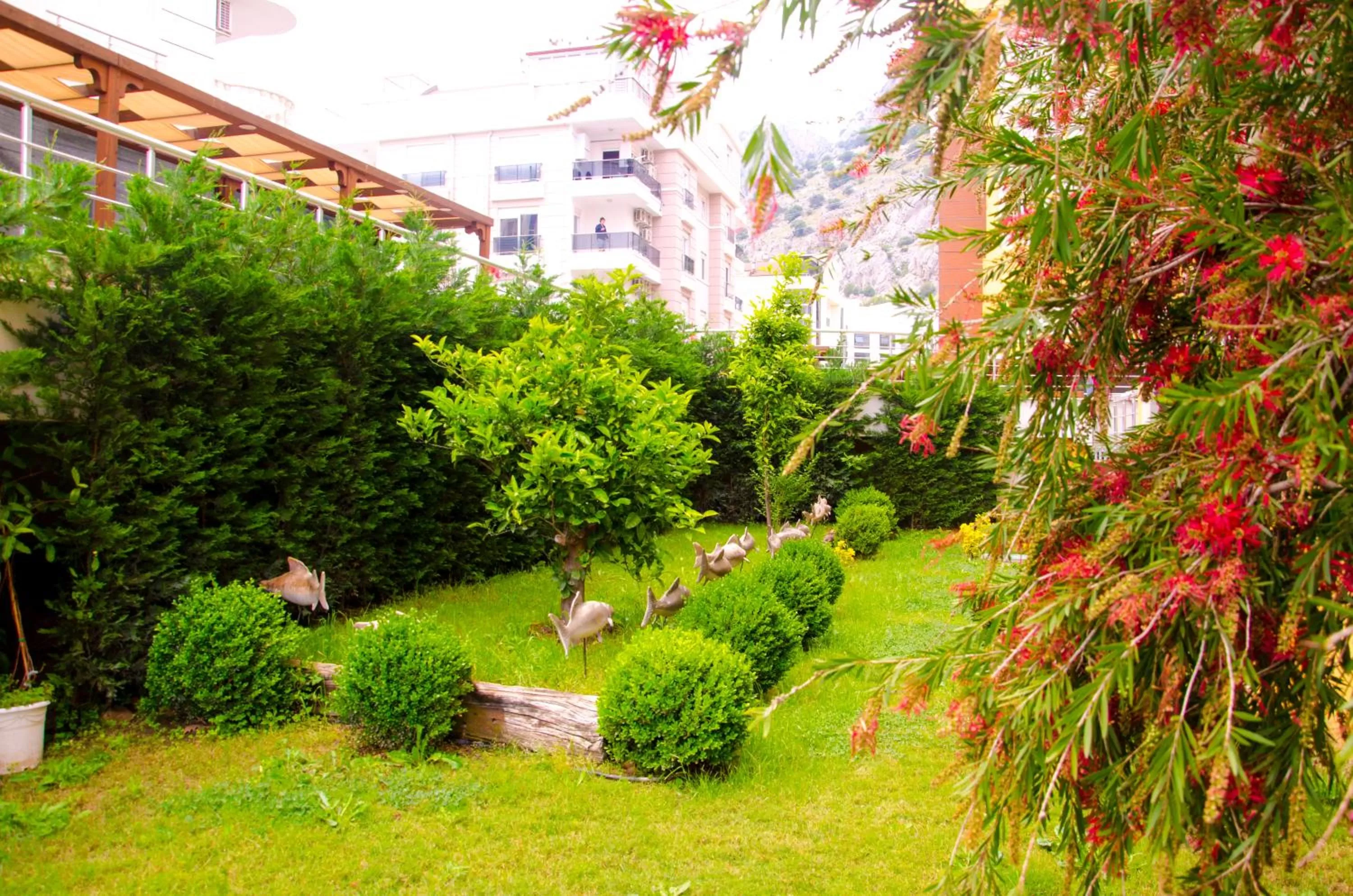 Garden in Flamingo Residence