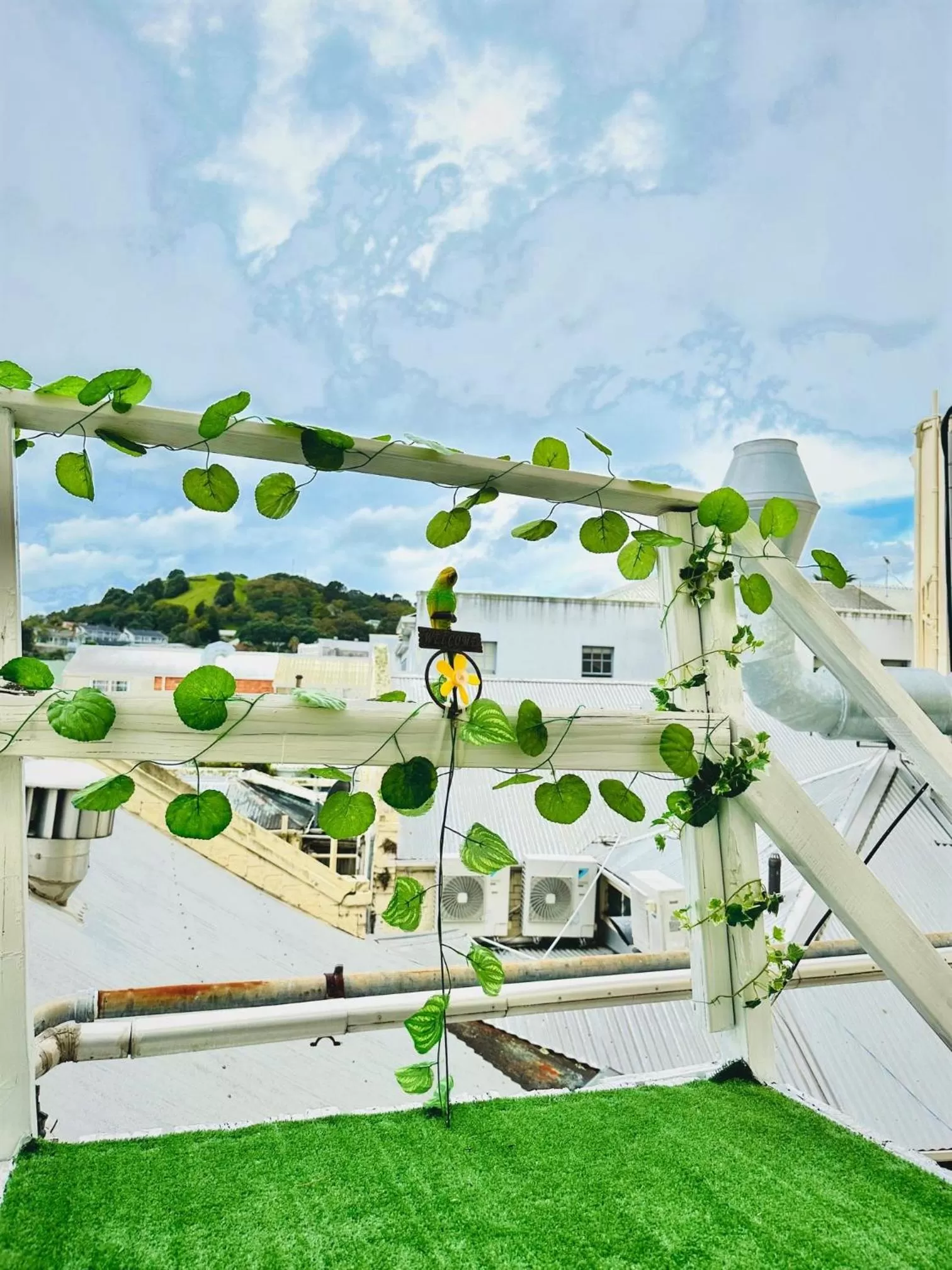 Natural landscape in The Esplanade Hotel