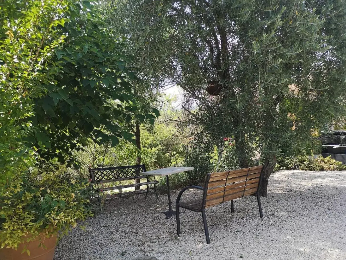 Garden in La Salamandre en Provence