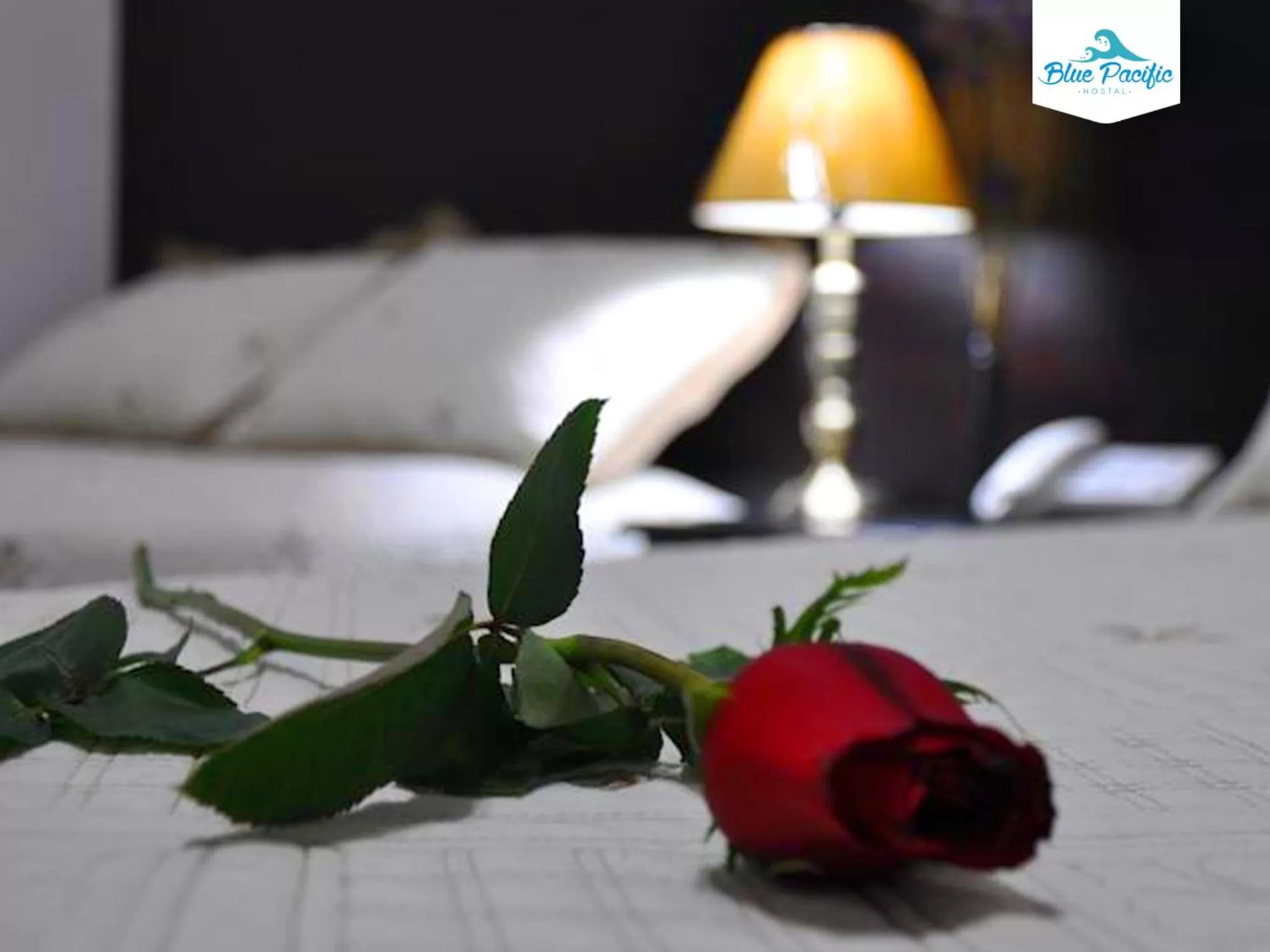 Decorative detail, Bed in Hostal Blue Pacific