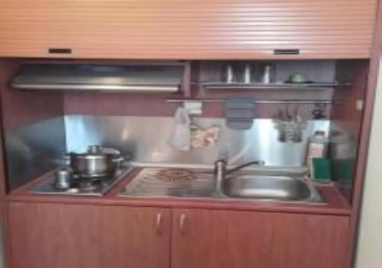 Kitchen or kitchenette, Kitchen/Kitchenette in Hotel Fotini