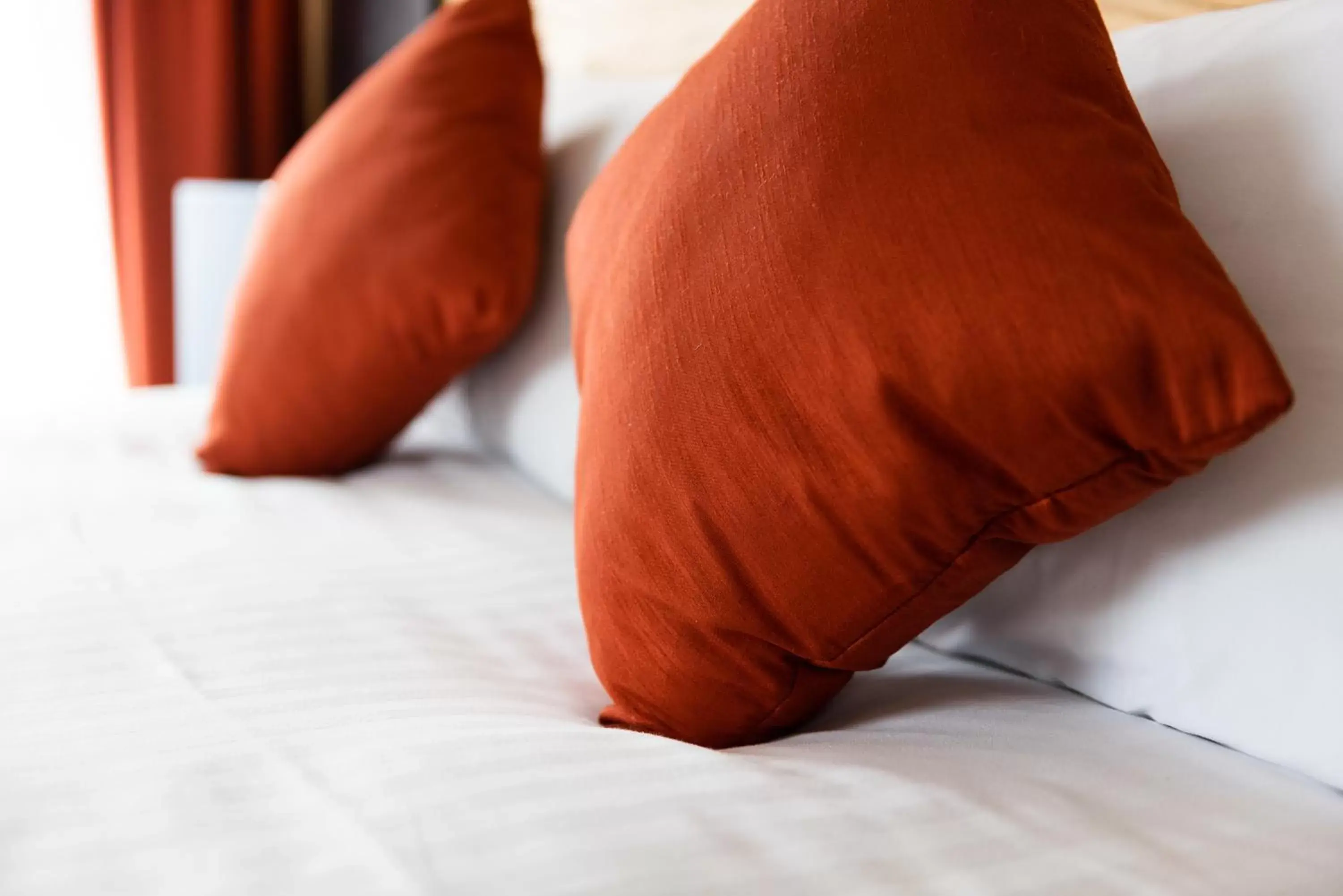 Twin Room in Dragonfly Hotel Bury St Edmunds Twin Room in Dragonfly Hotel Bury St Edmunds