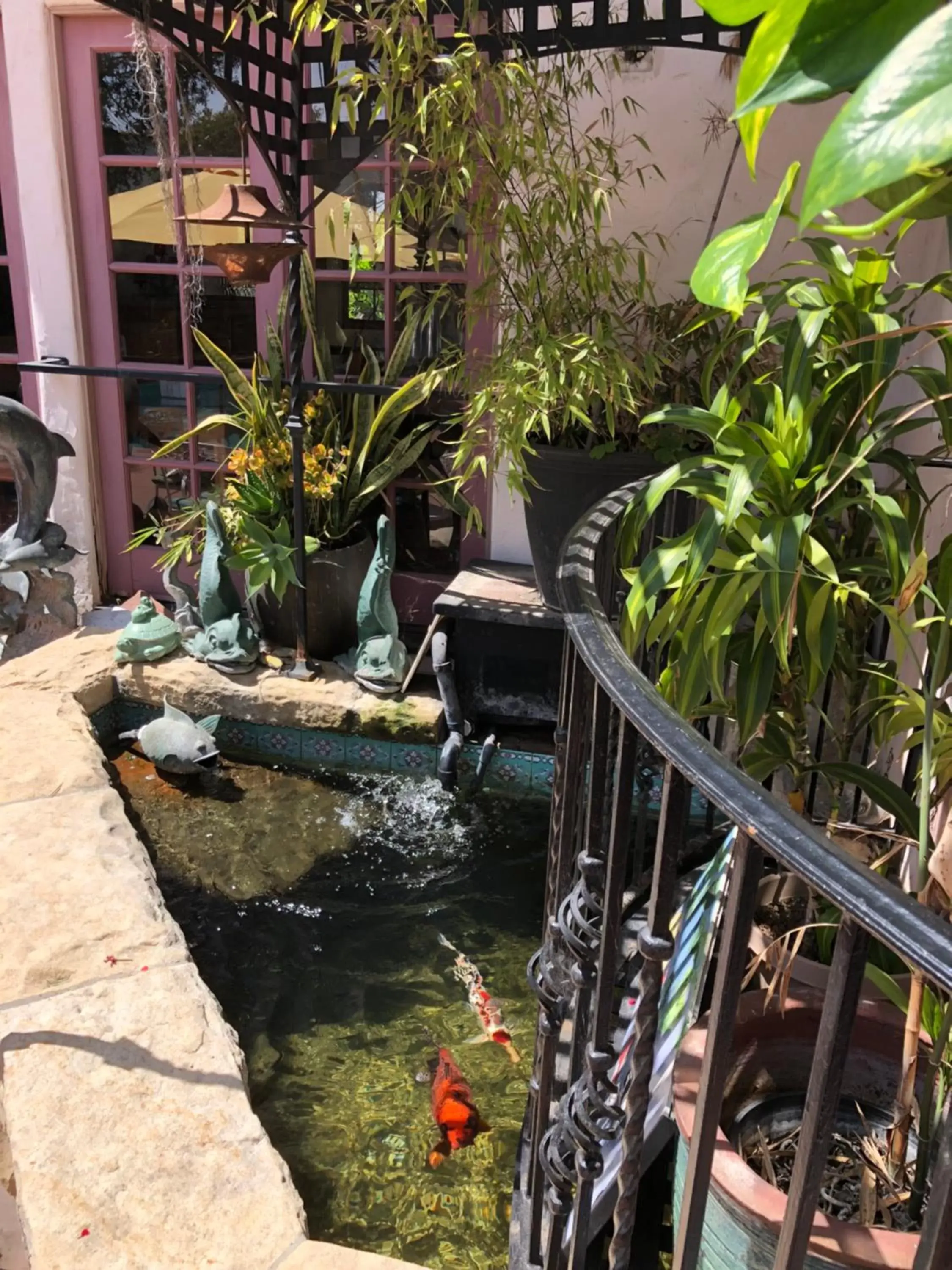 Balcony/Terrace in Villa Rosa Inn