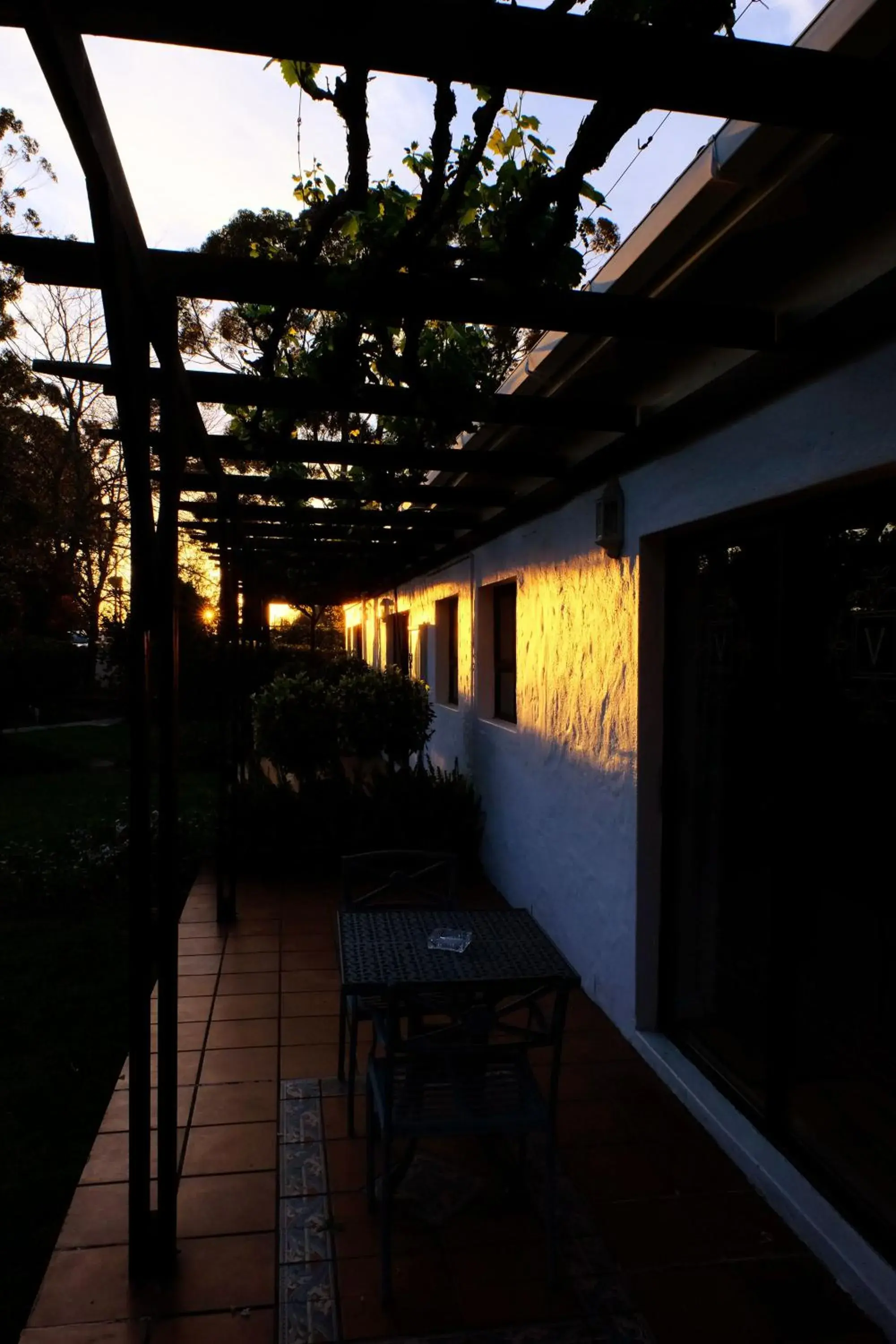 Patio in Vine Guesthouse