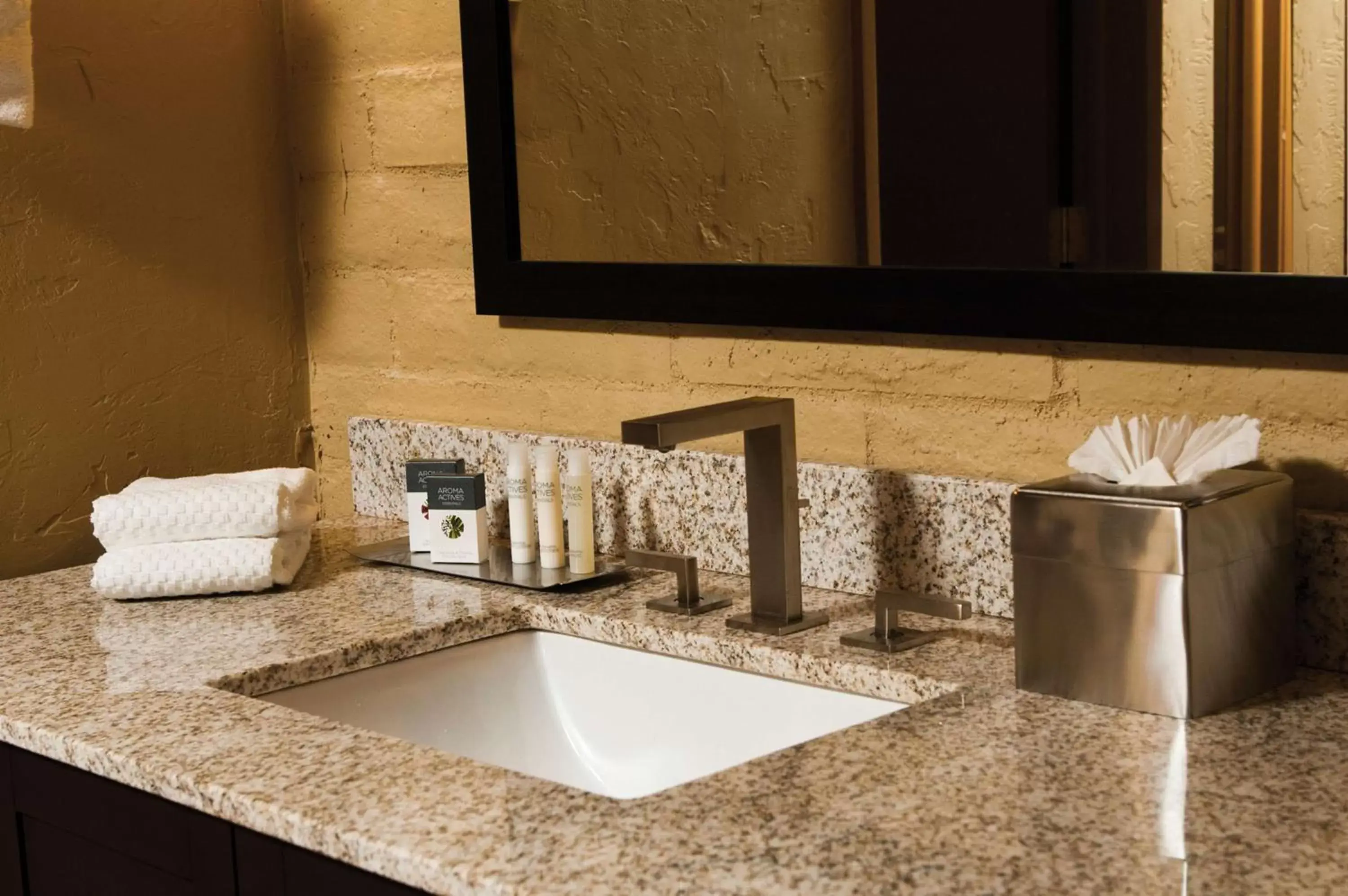 Bathroom in DoubleTree Suites by Hilton Tucson-Williams Center