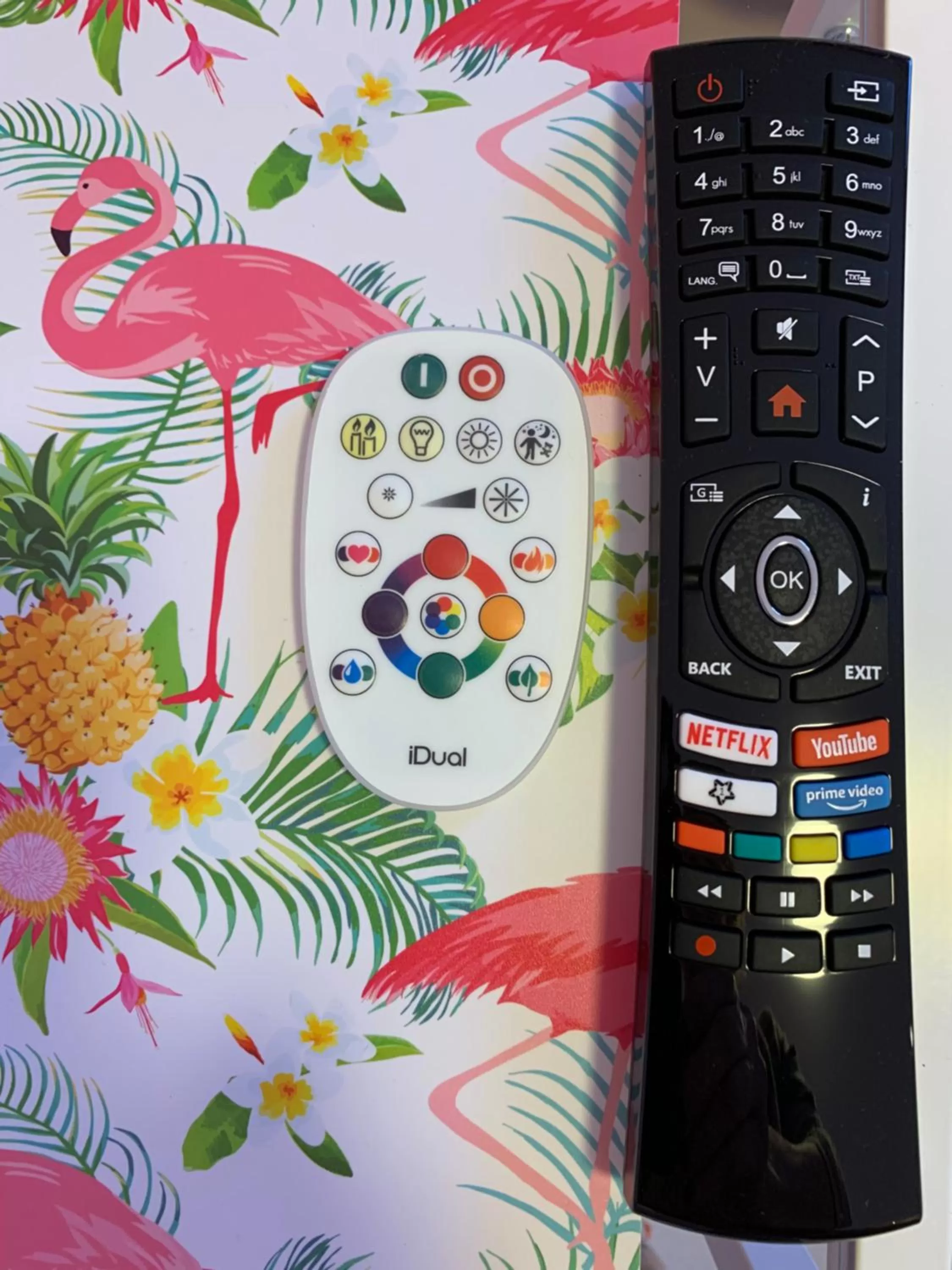 TV and multimedia in Carpe Diem