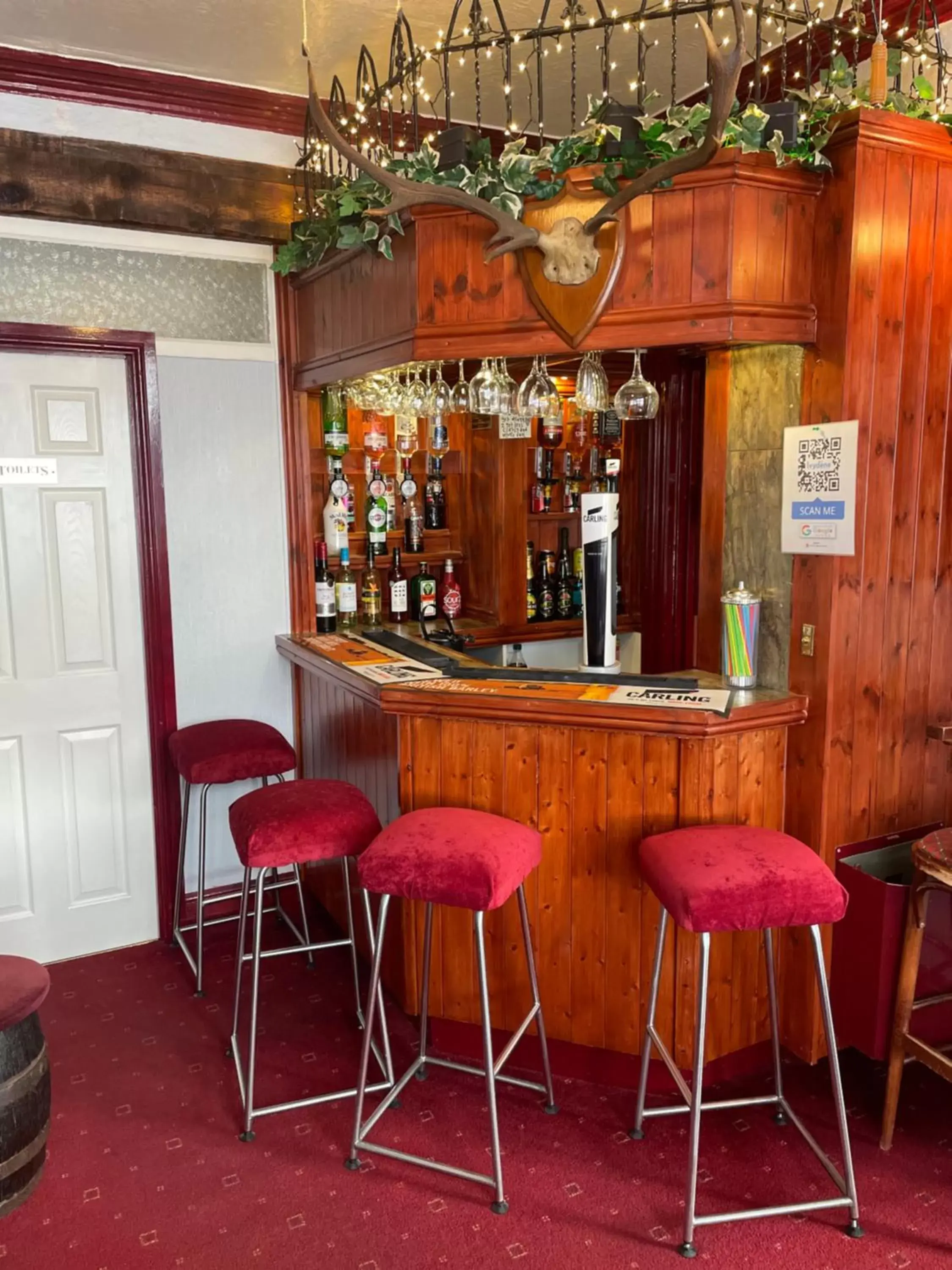 Lounge/Bar in Ivydene Guest House