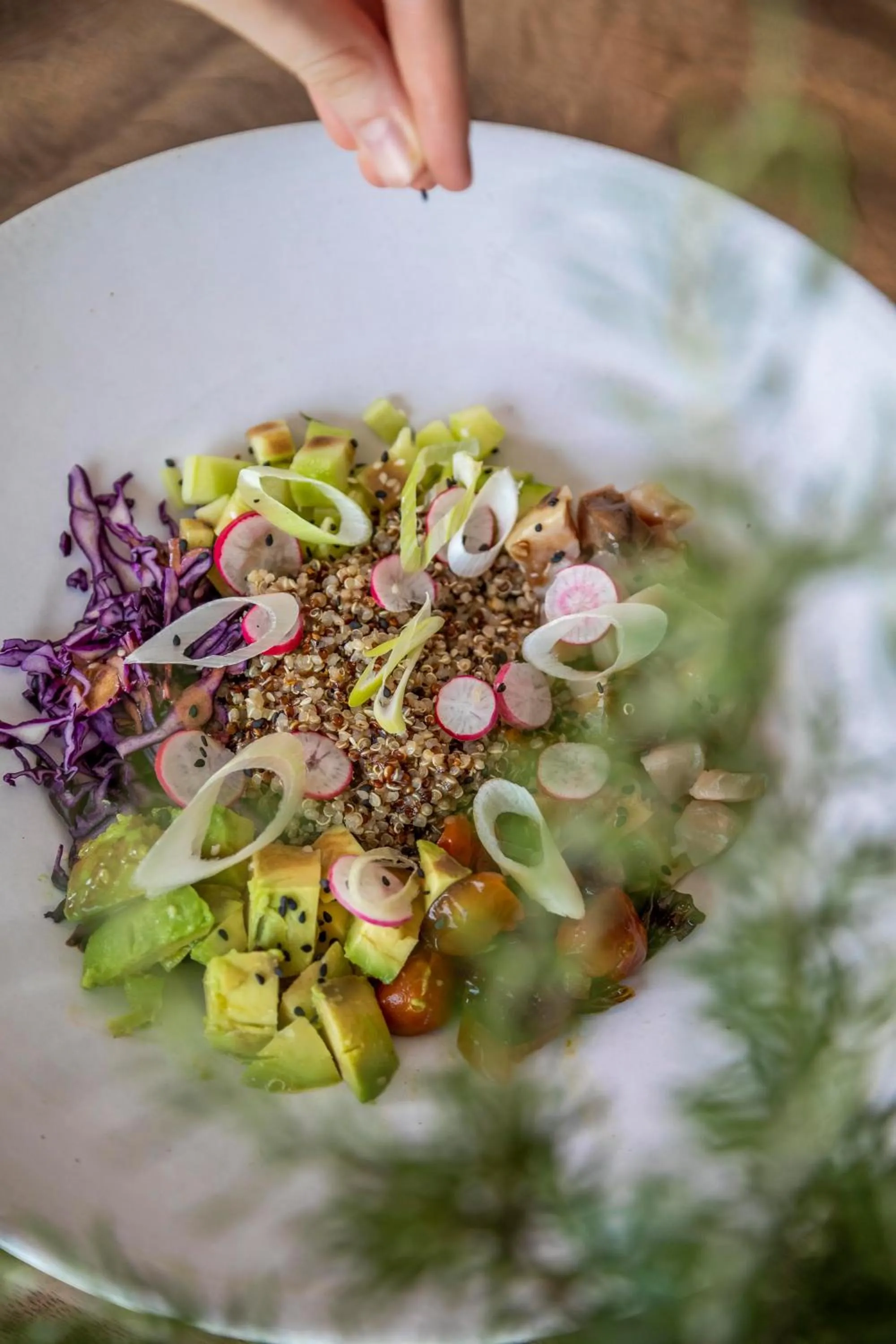 Food and drinks in Hôtel Version Maquis Santa Manza