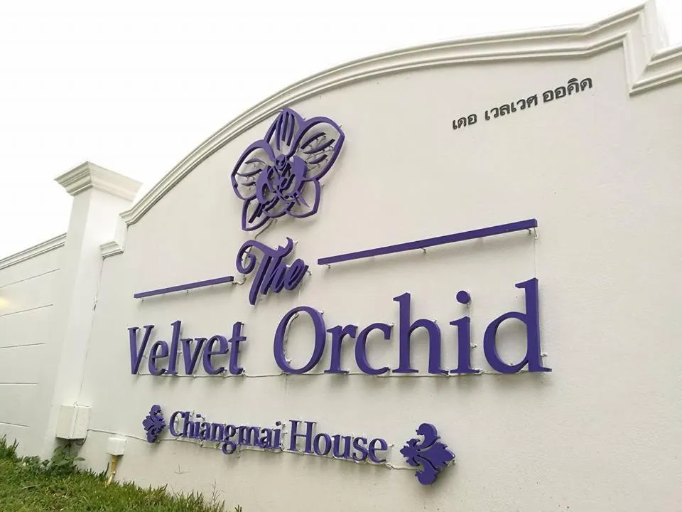 Property logo or sign in The Velvet Orchid