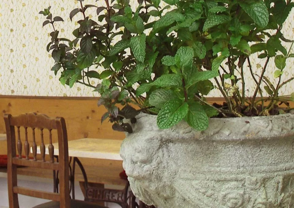 Dining area in Hotel Lux