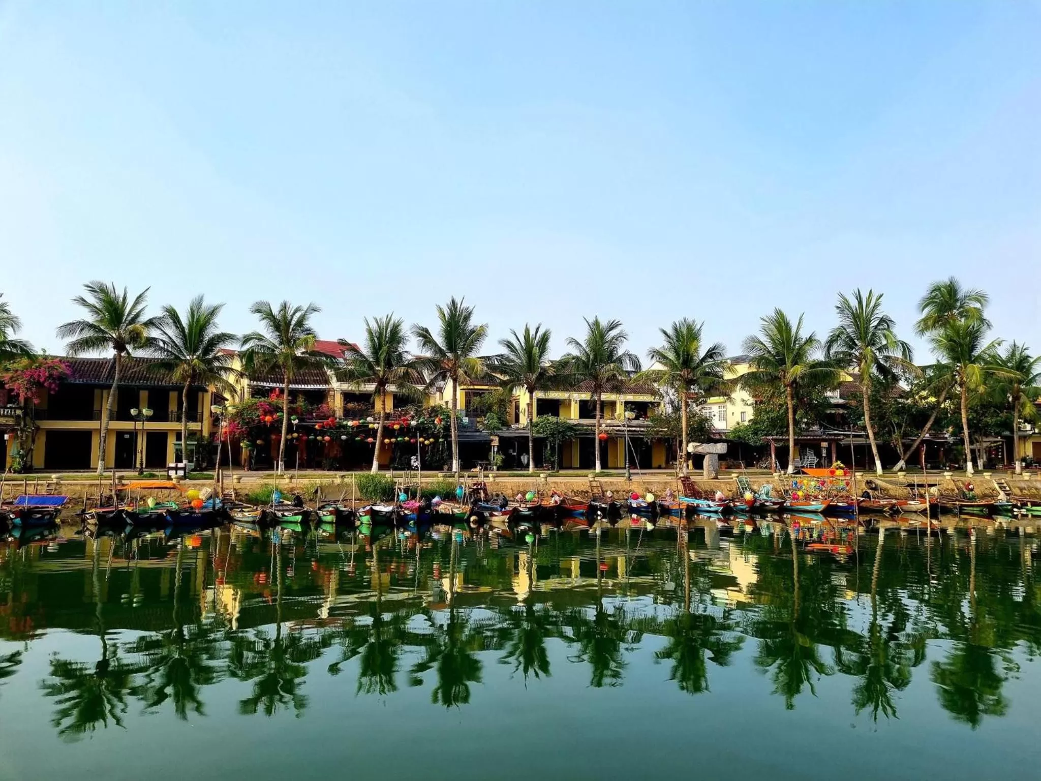 Natural landscape in hoi an center town