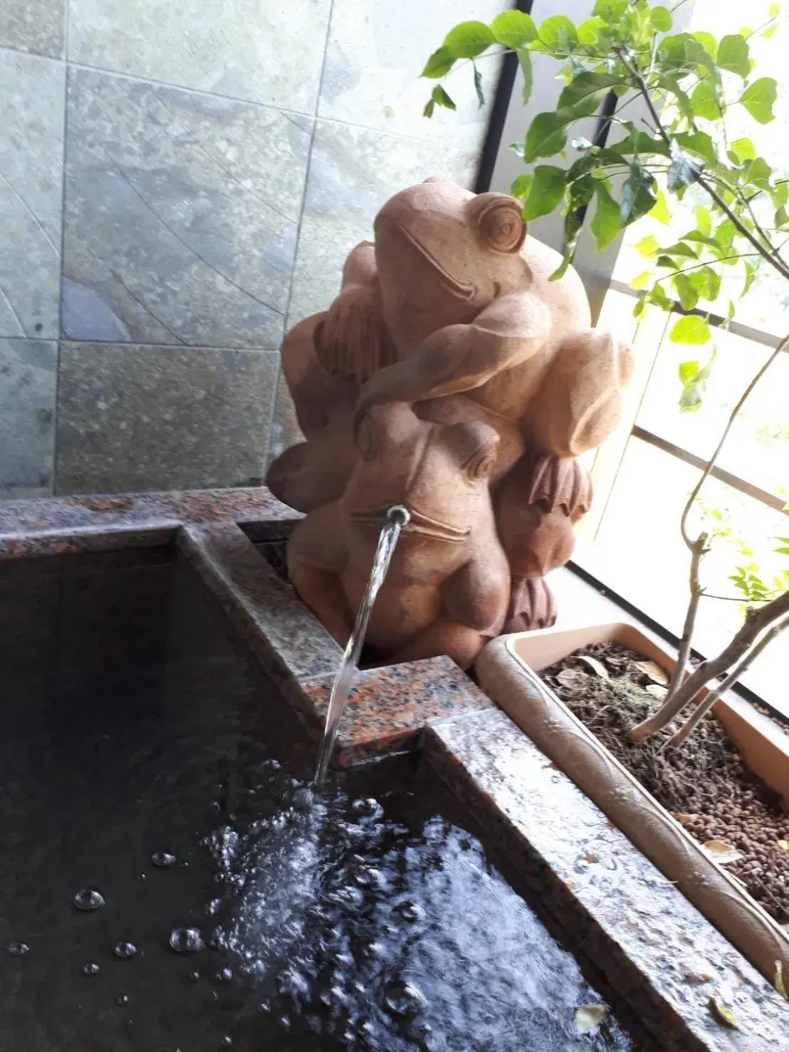Hot Spring Bath, Other Animals in Balinese onsen ryokan Hakone Airu