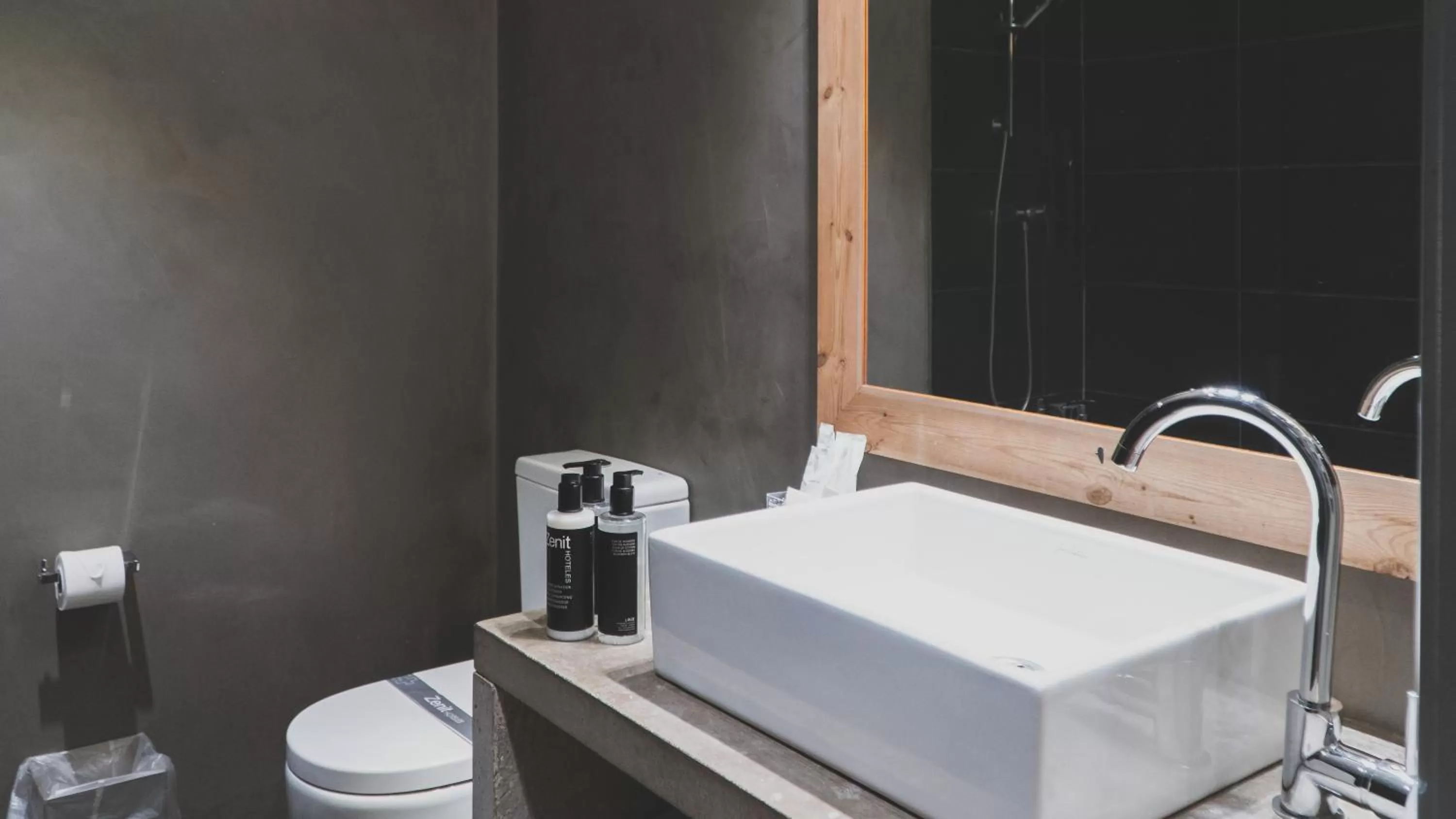 Bathroom in Zenit Abeba