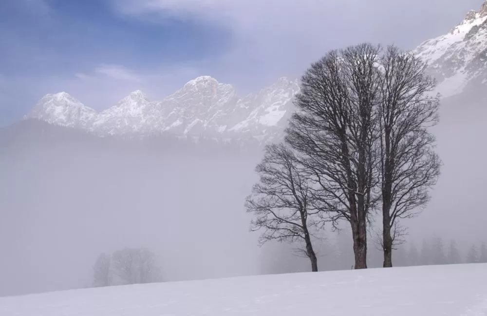 Mountain view in Bergführerhaus