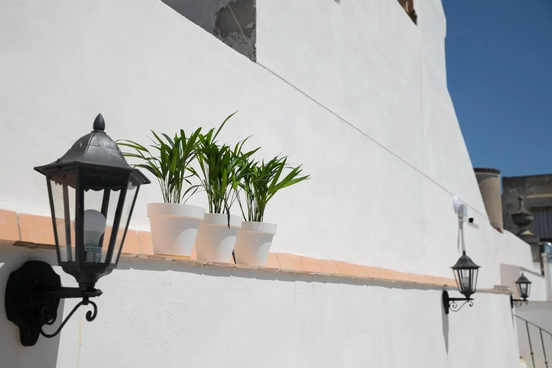 Balcony/Terrace in Planeta Cadiz Hostel