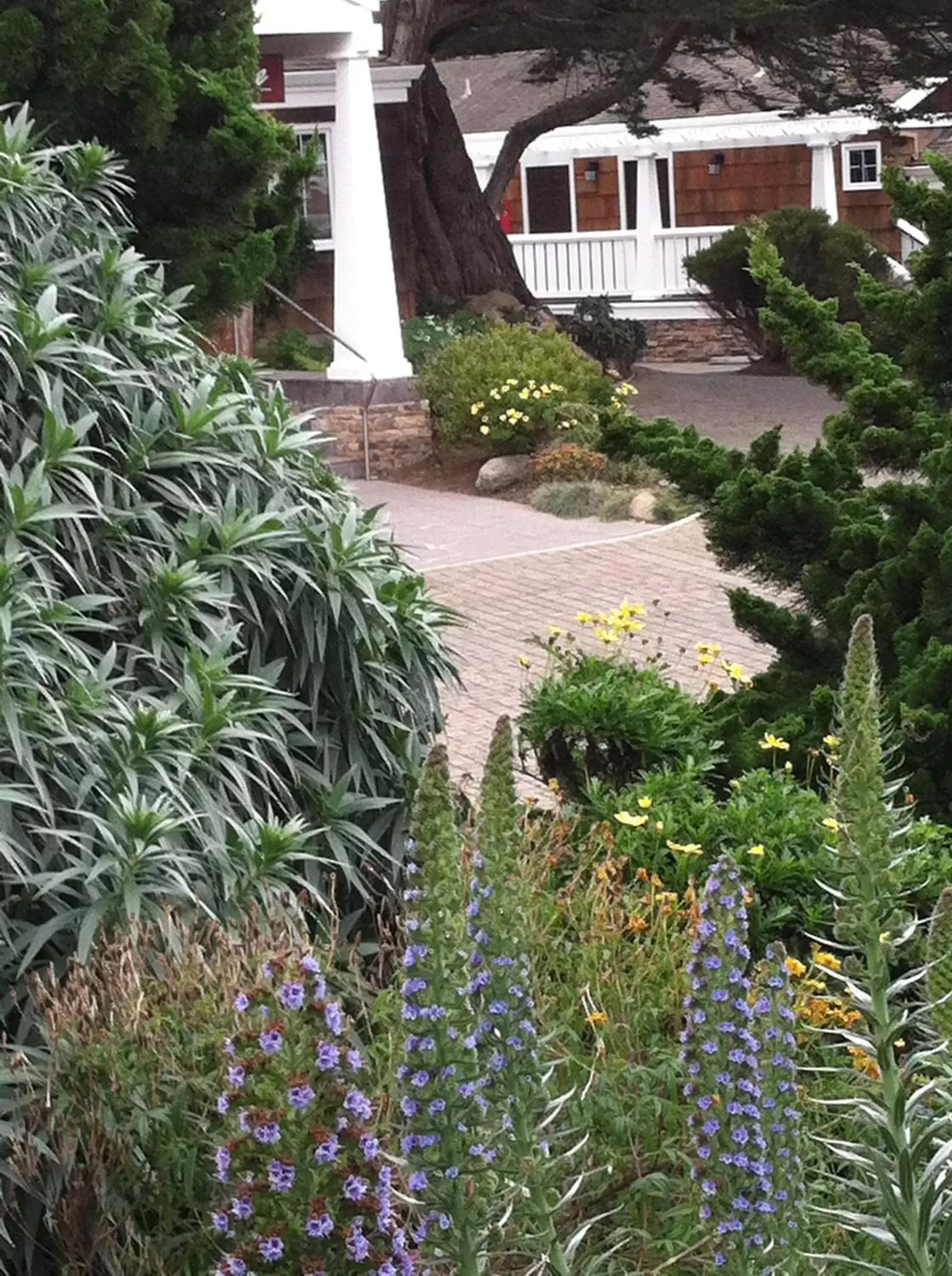 Decorative detail in Lighthouse Lodge & Cottages