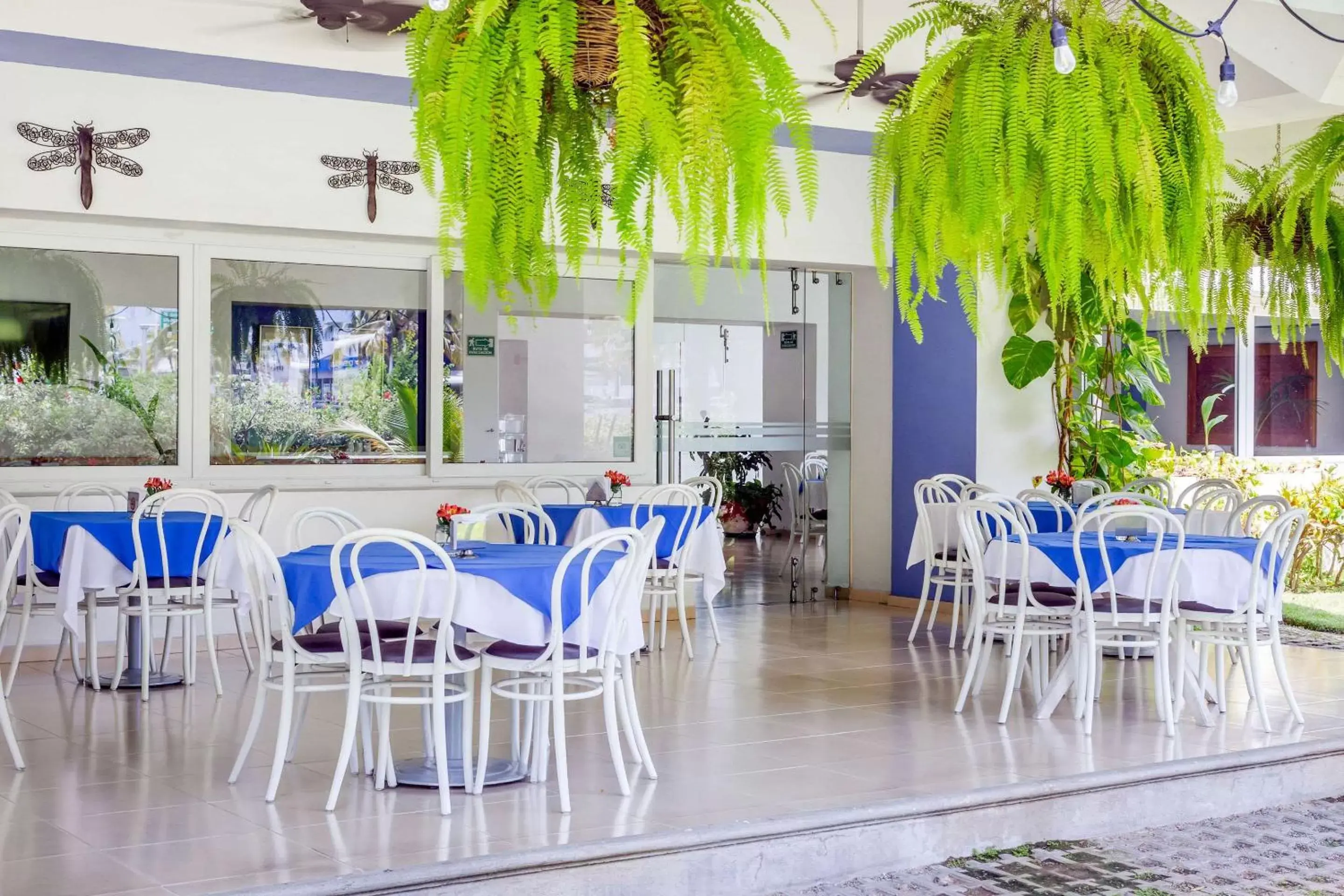 Restaurant/Places to Eat in Comfort Inn Puerto Vallarta