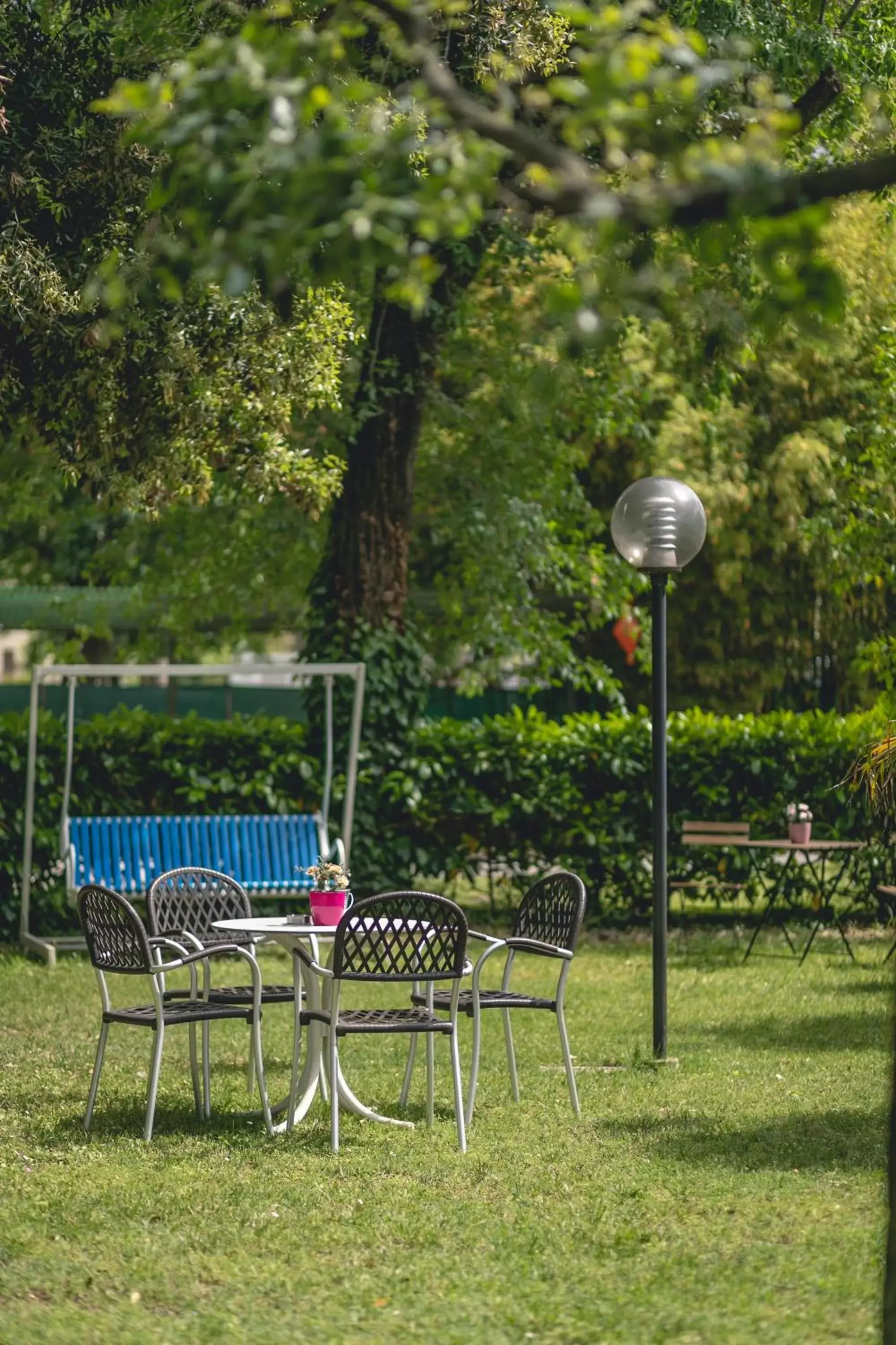 Garden in Hotel del Falco