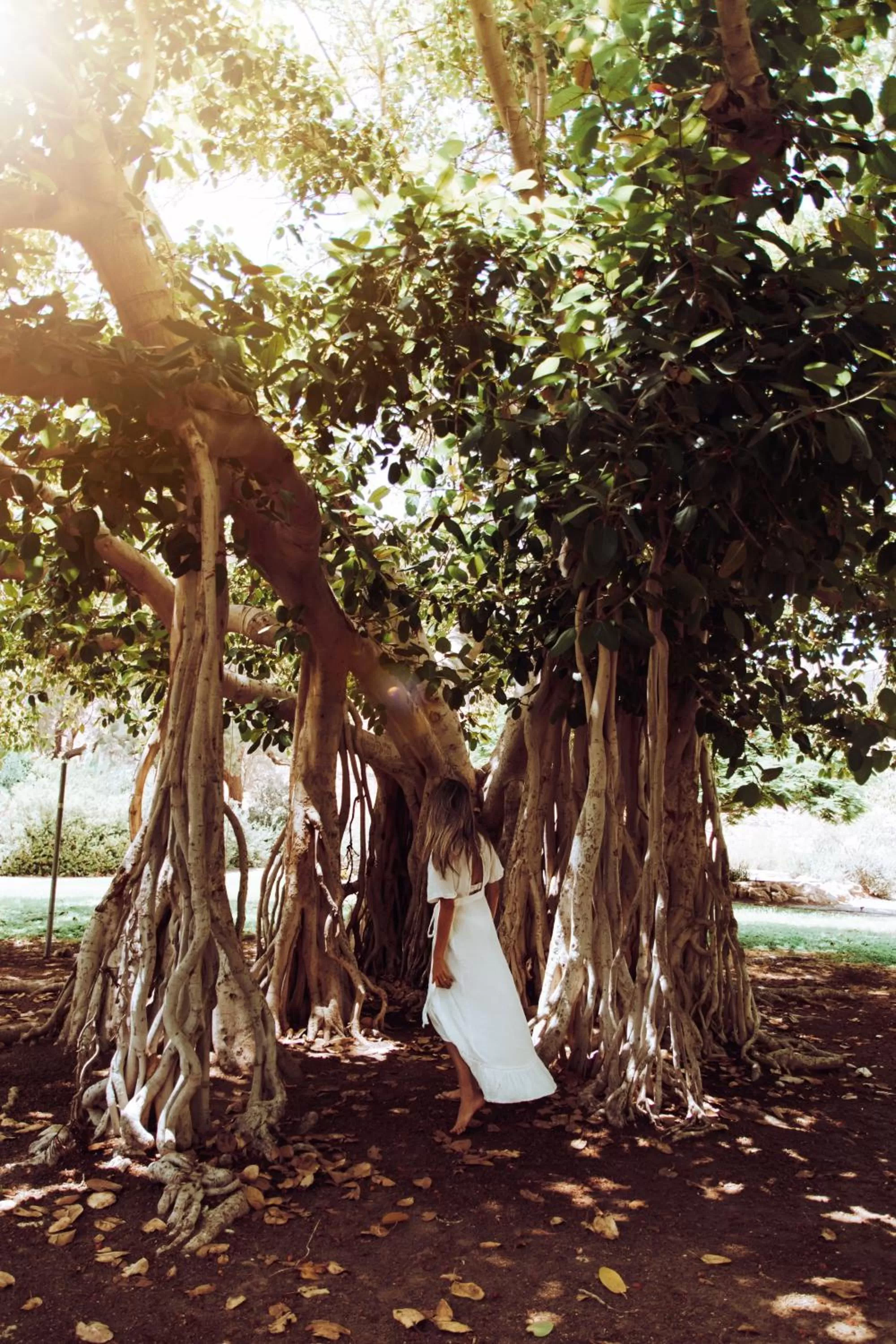 Natural landscape in Ein Gedi Kibbutz Hotel