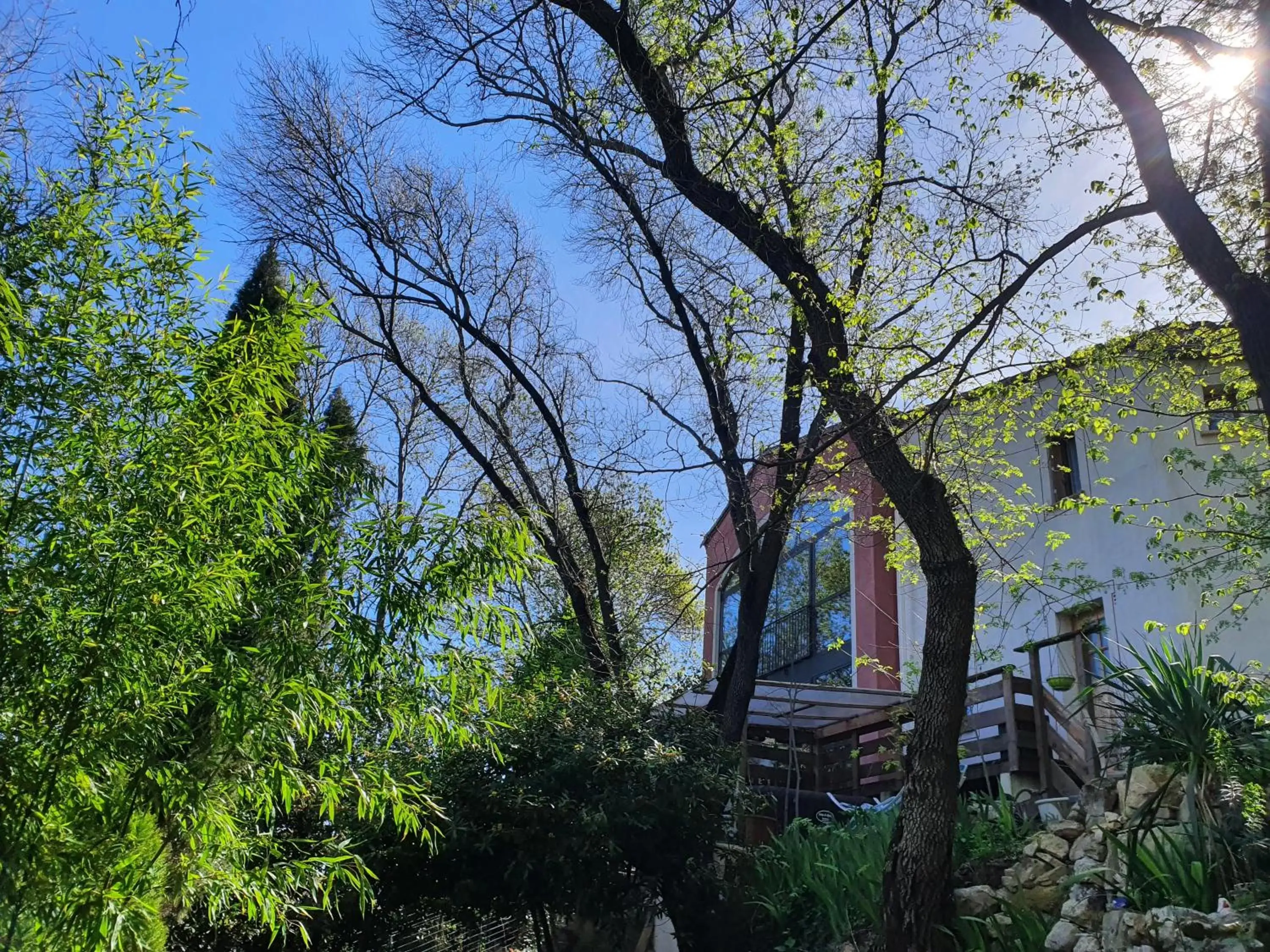 Garden in Chambres d'hôtes Le Bois Des Frênes