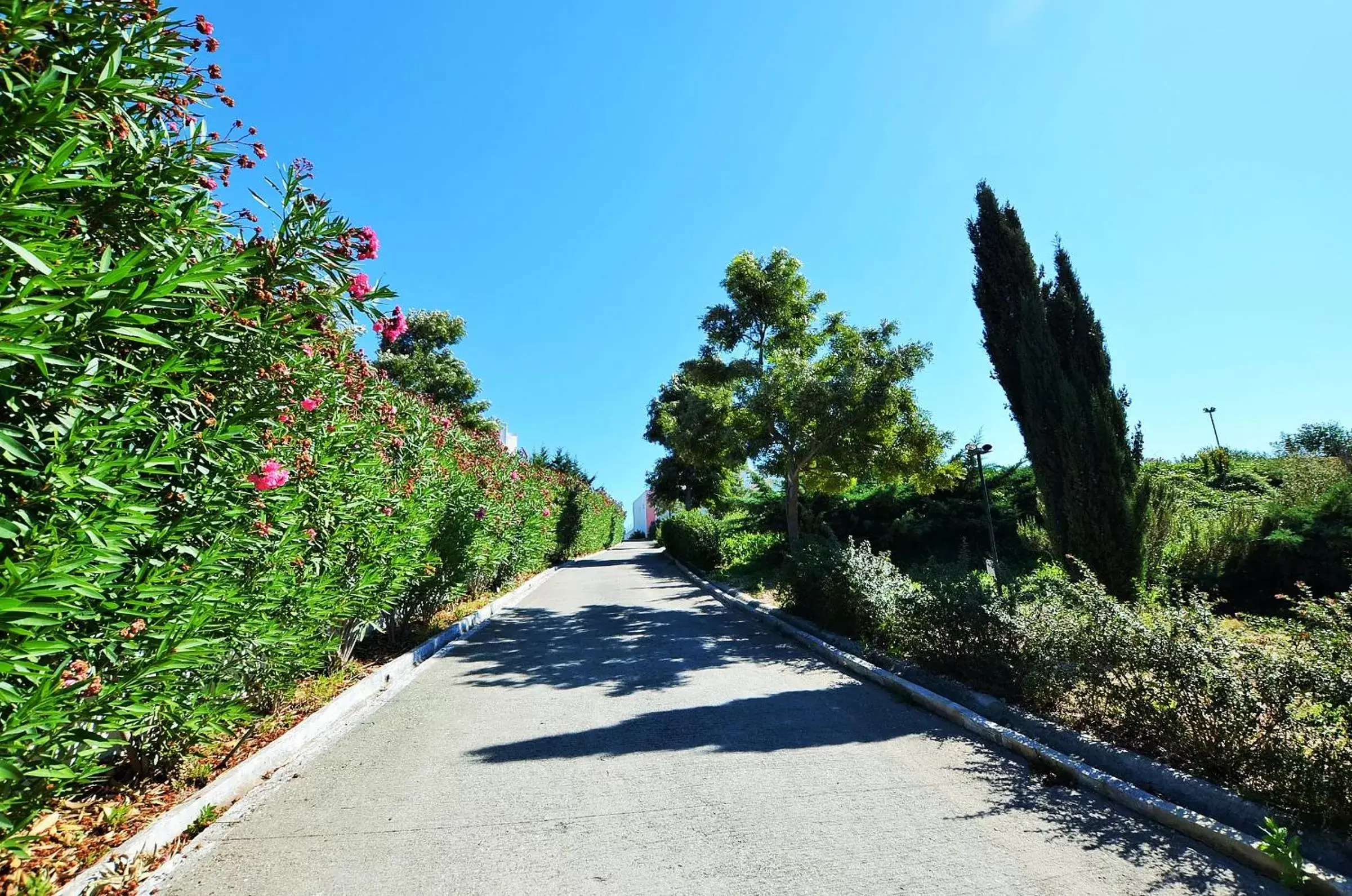 Natural landscape in HILLTOP OASIS Lisboa Oeiras