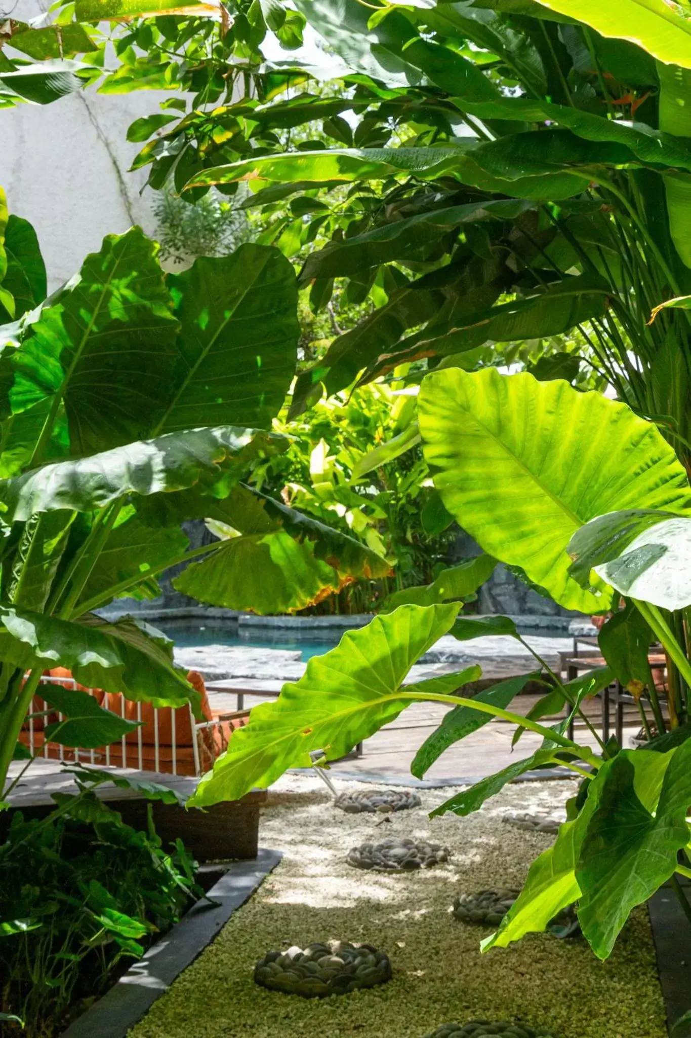 Garden in Maka Hotel Boutique