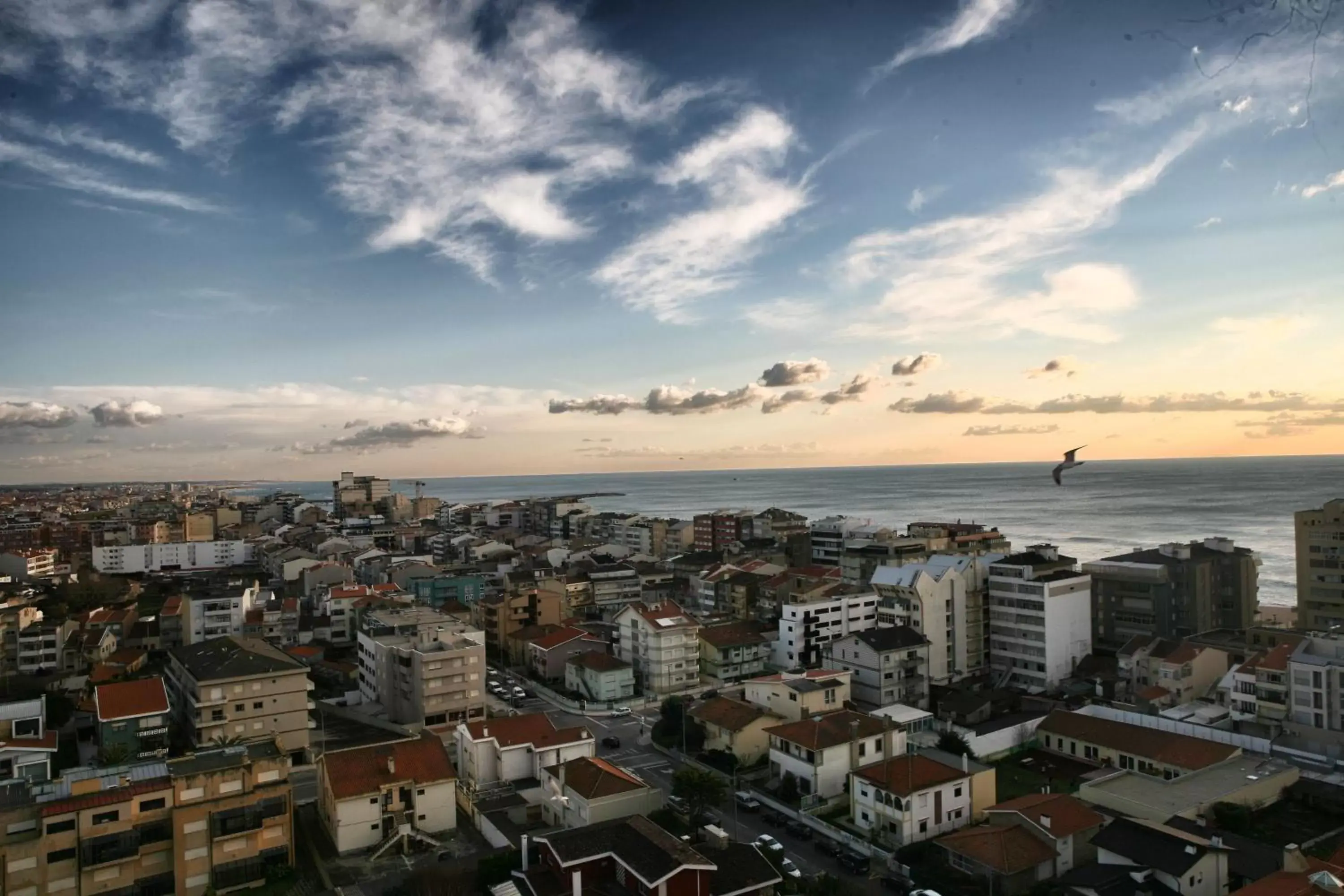 Area and facilities, Bird's-eye View in Hotel Costa Verde