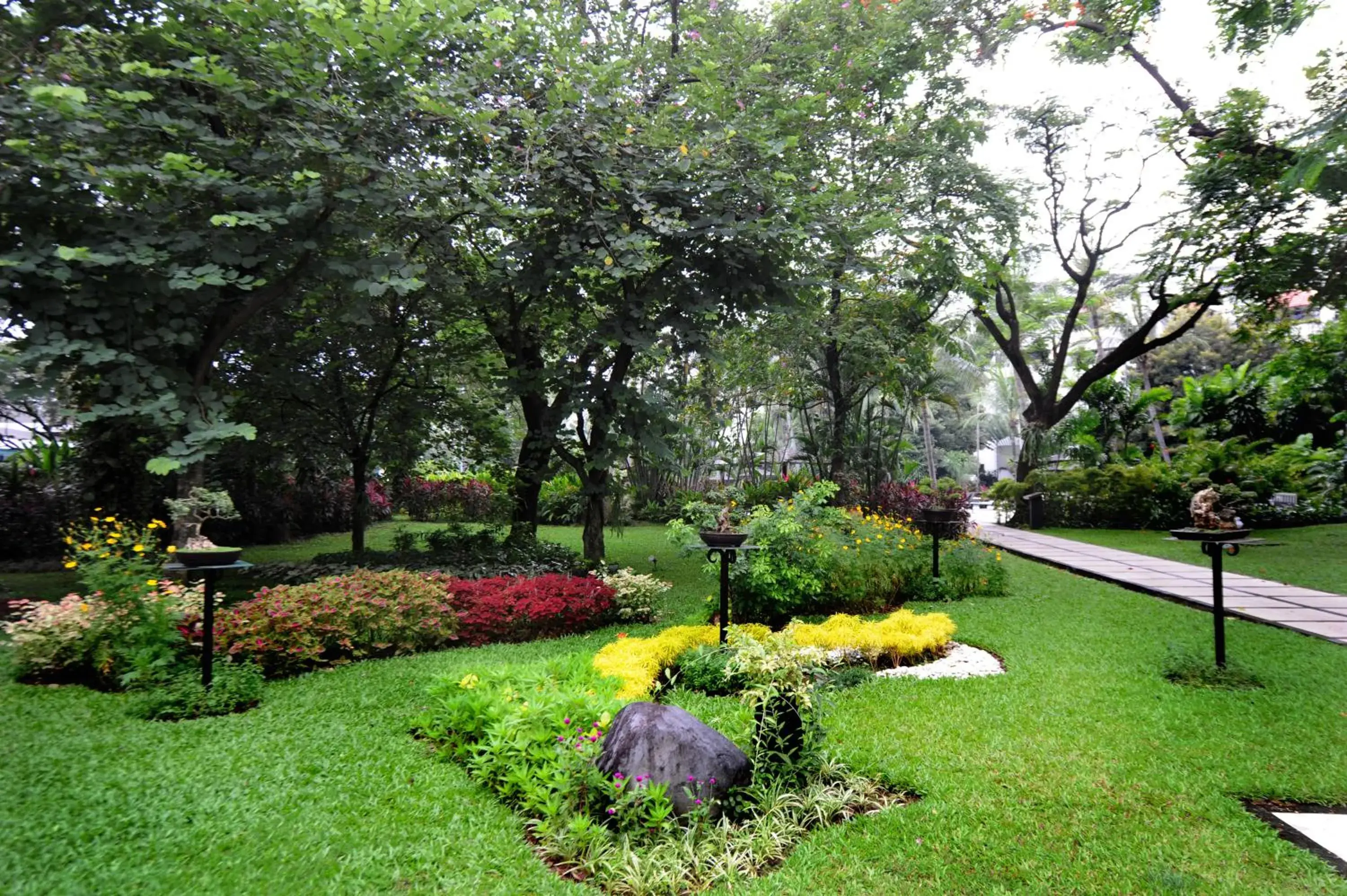 Natural landscape, Garden in Borobudur Jakarta Hotel