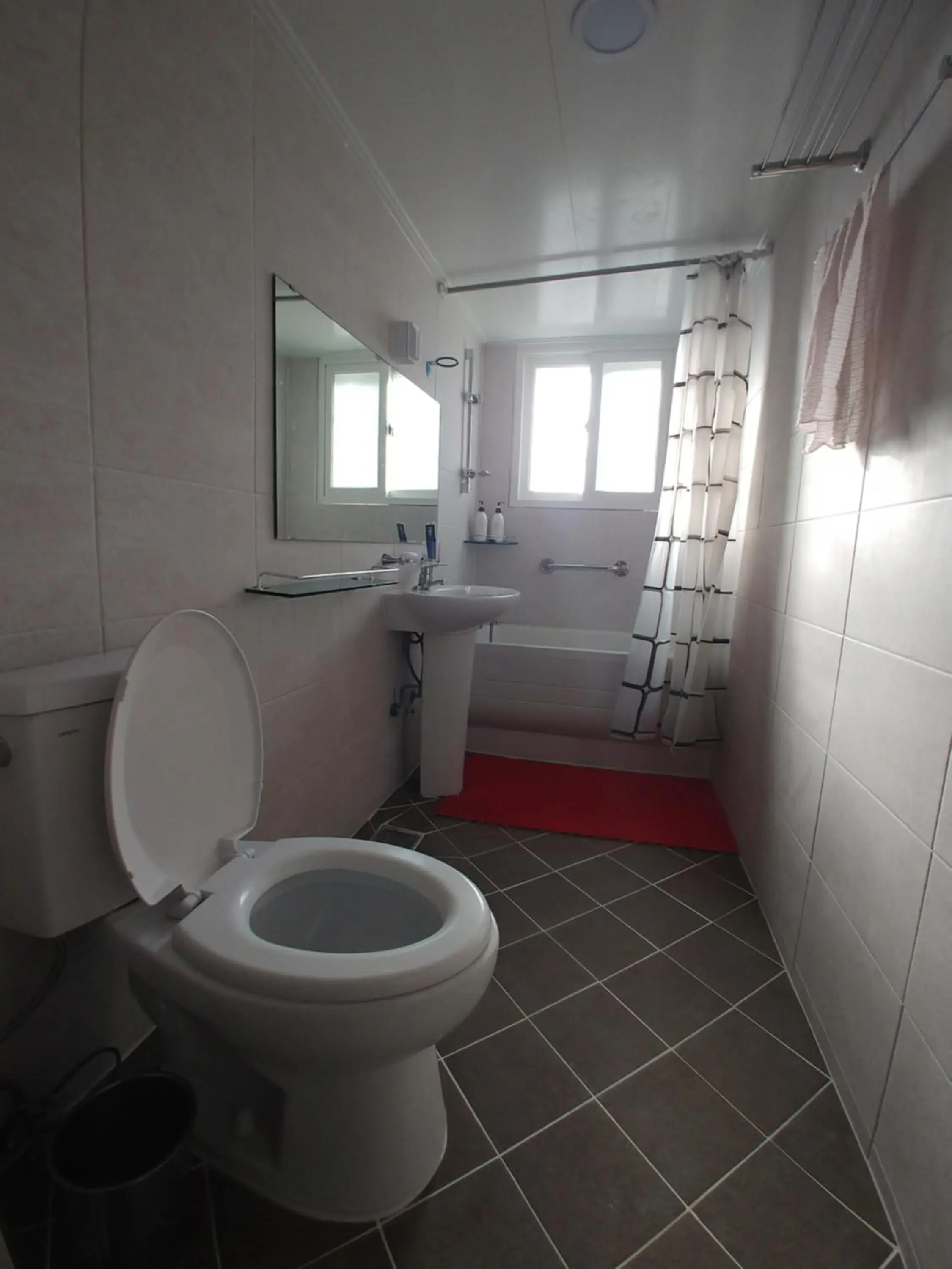 Bathroom in The Red House