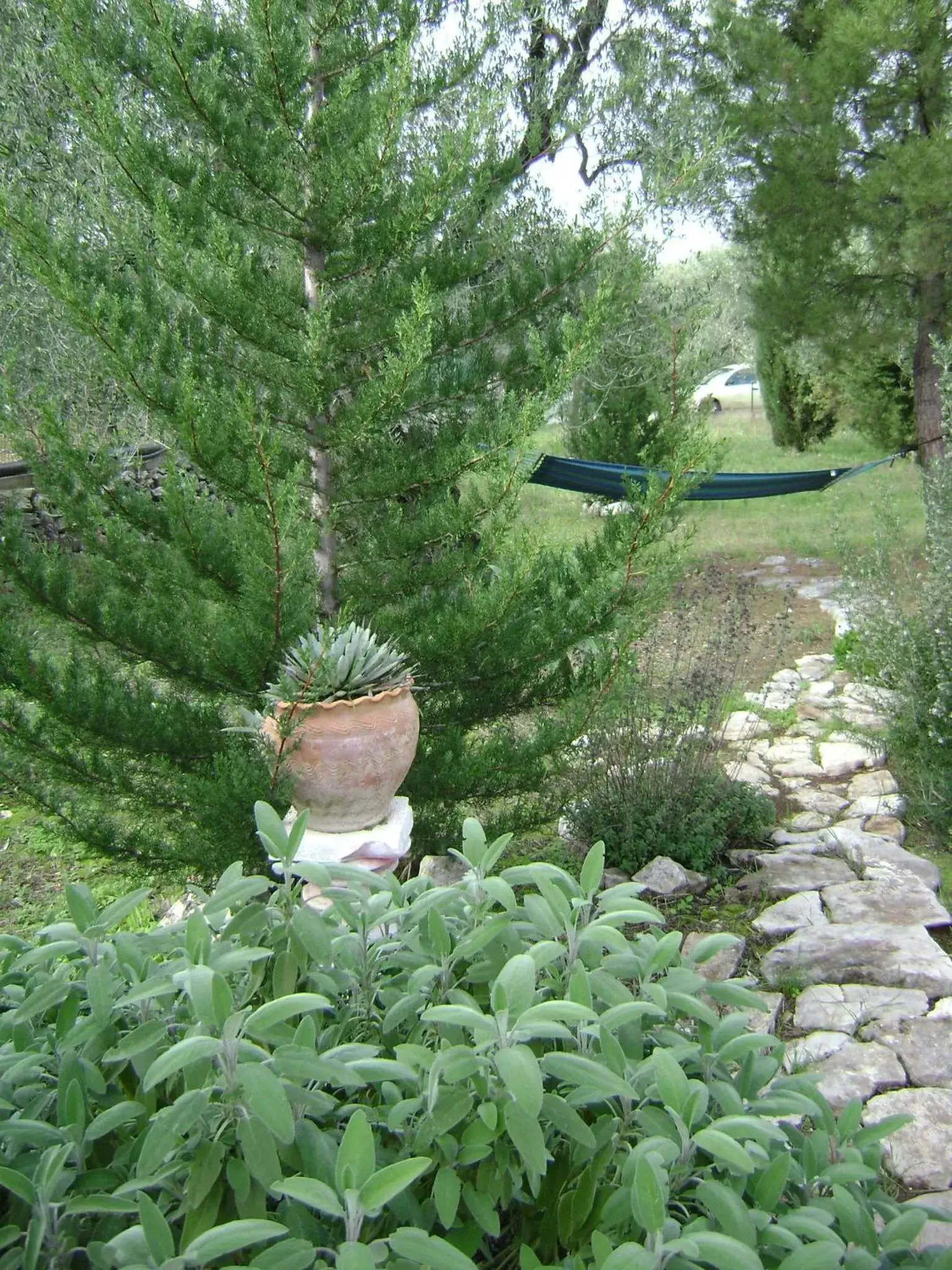 Garden in B&B Villa Méditerranée